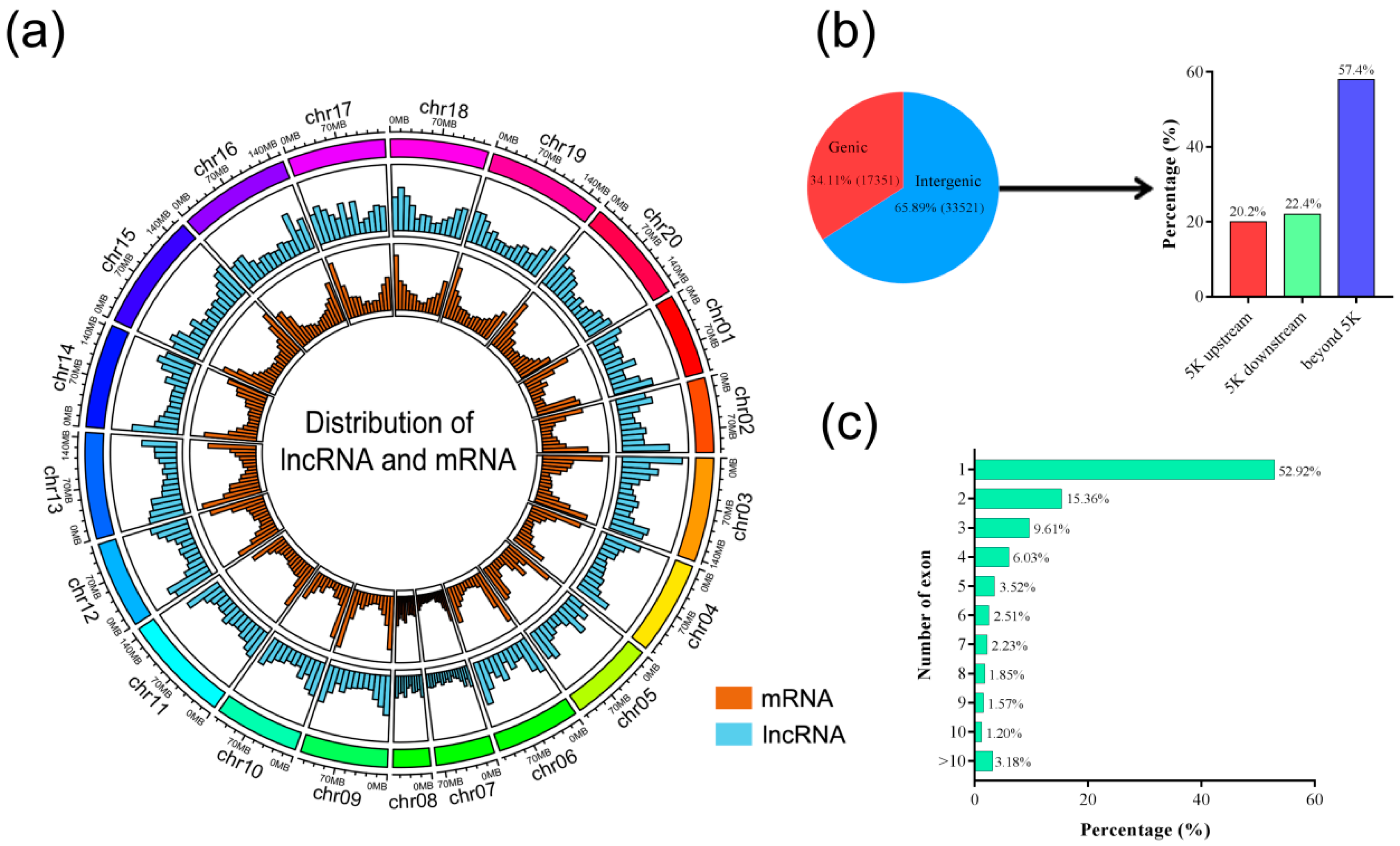 Genes 10 00536 g002