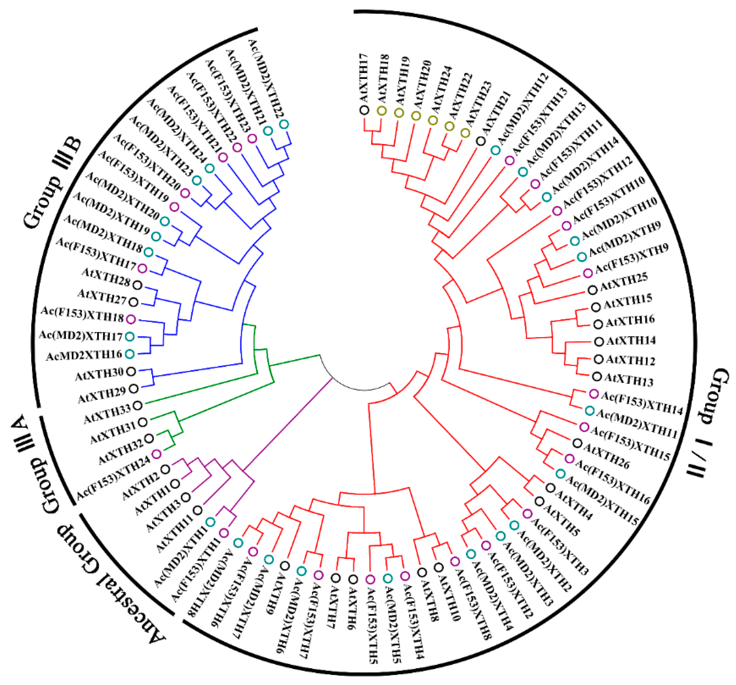 Genes 10 00537 g001