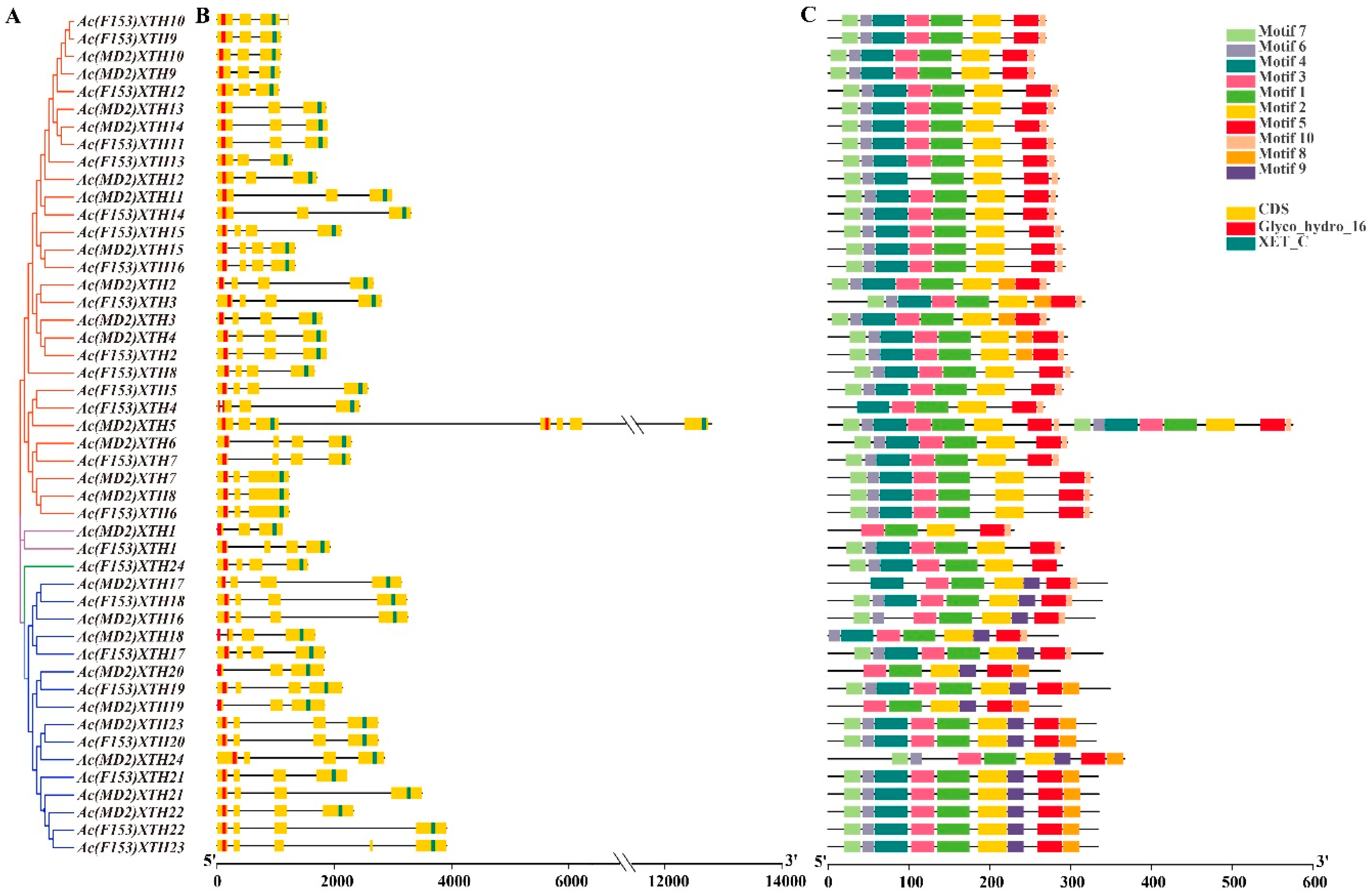 Genes 10 00537 g002