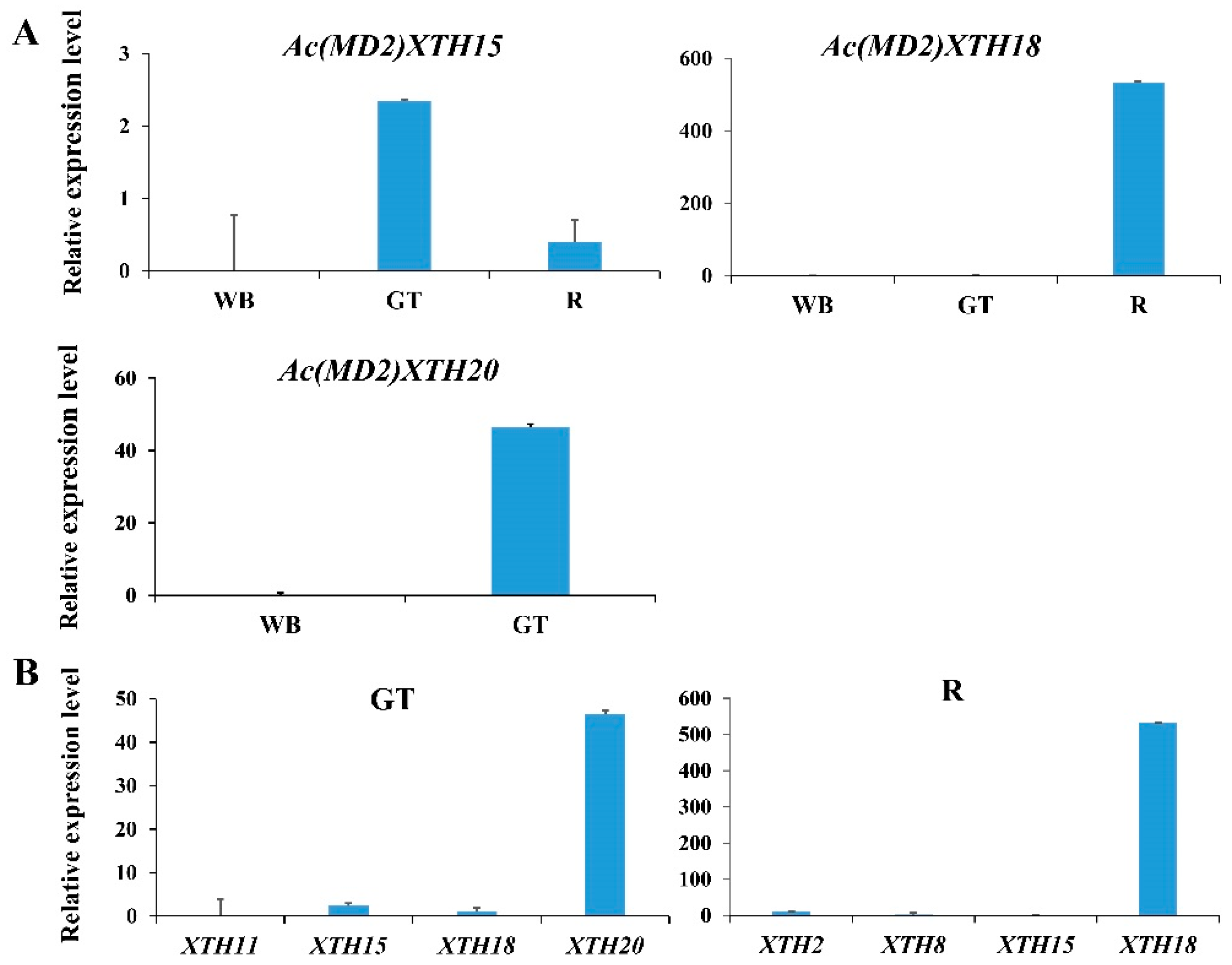 Genes 10 00537 g005