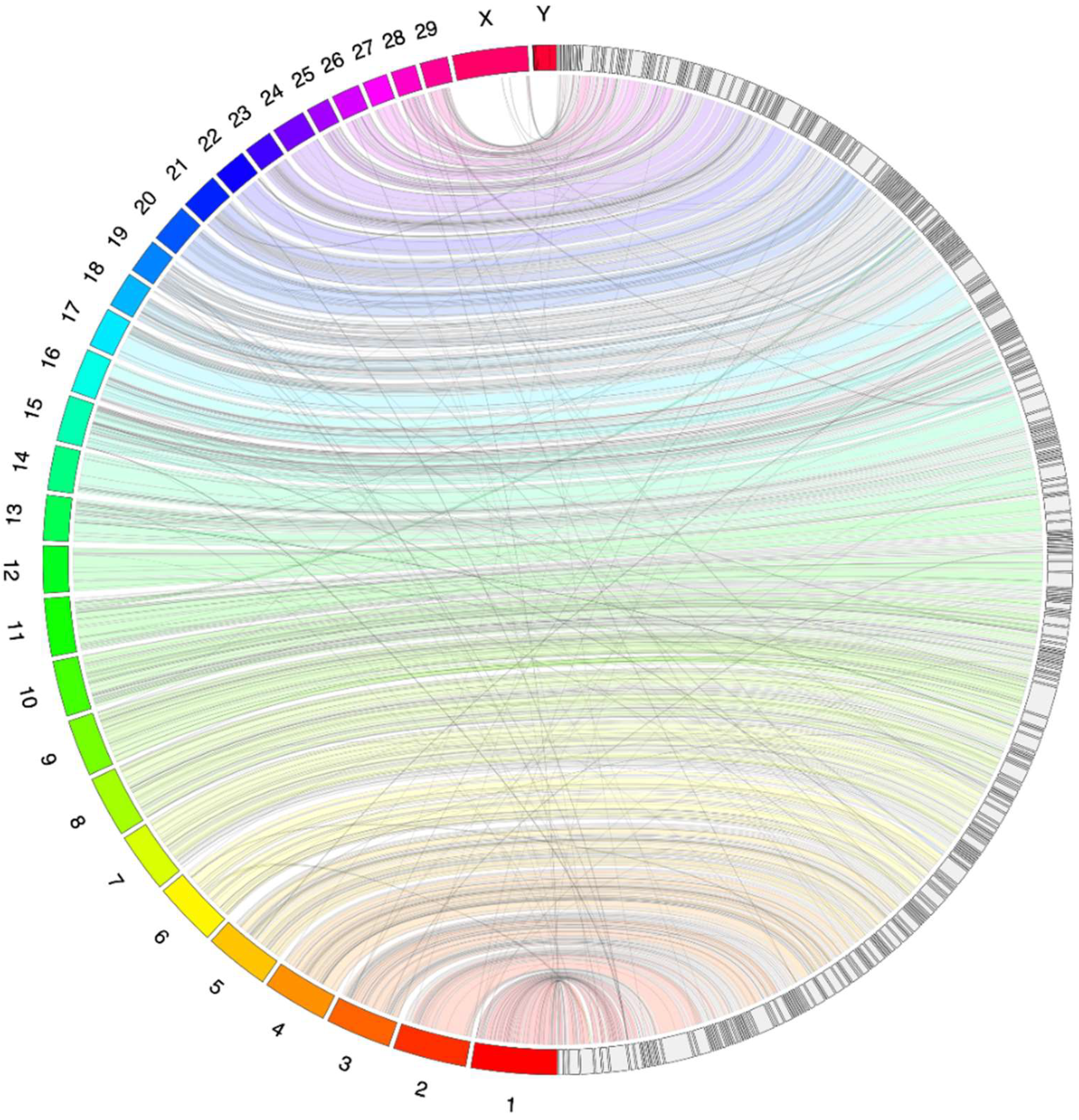 Genes 10 00540 g001