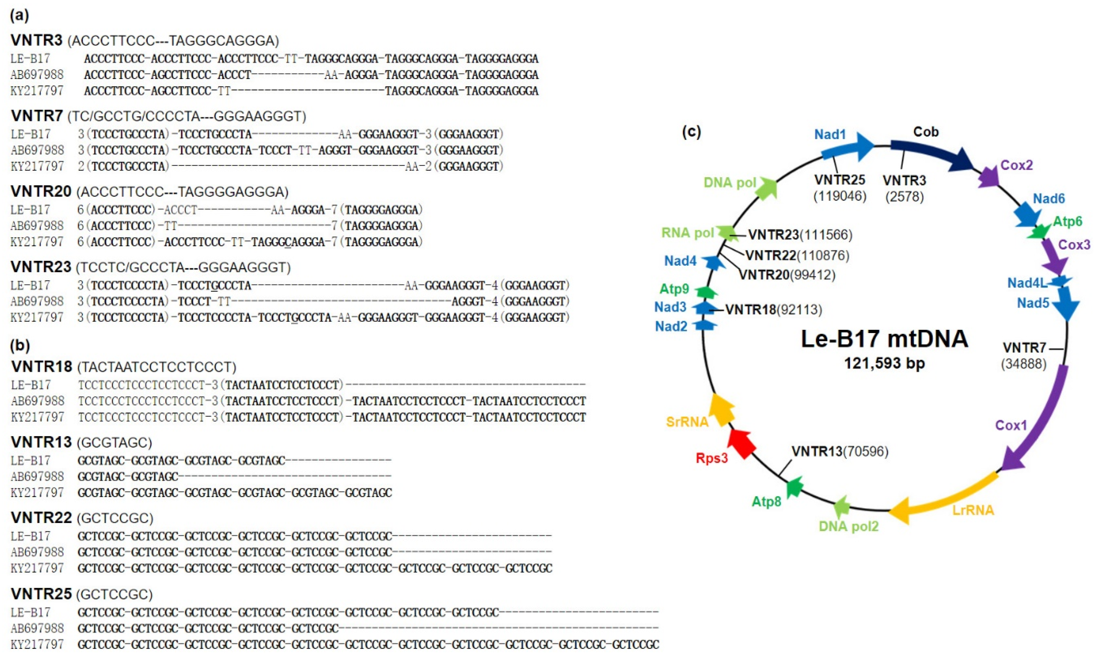 Genes 10 00542 g001 Genes 10 00542 g001