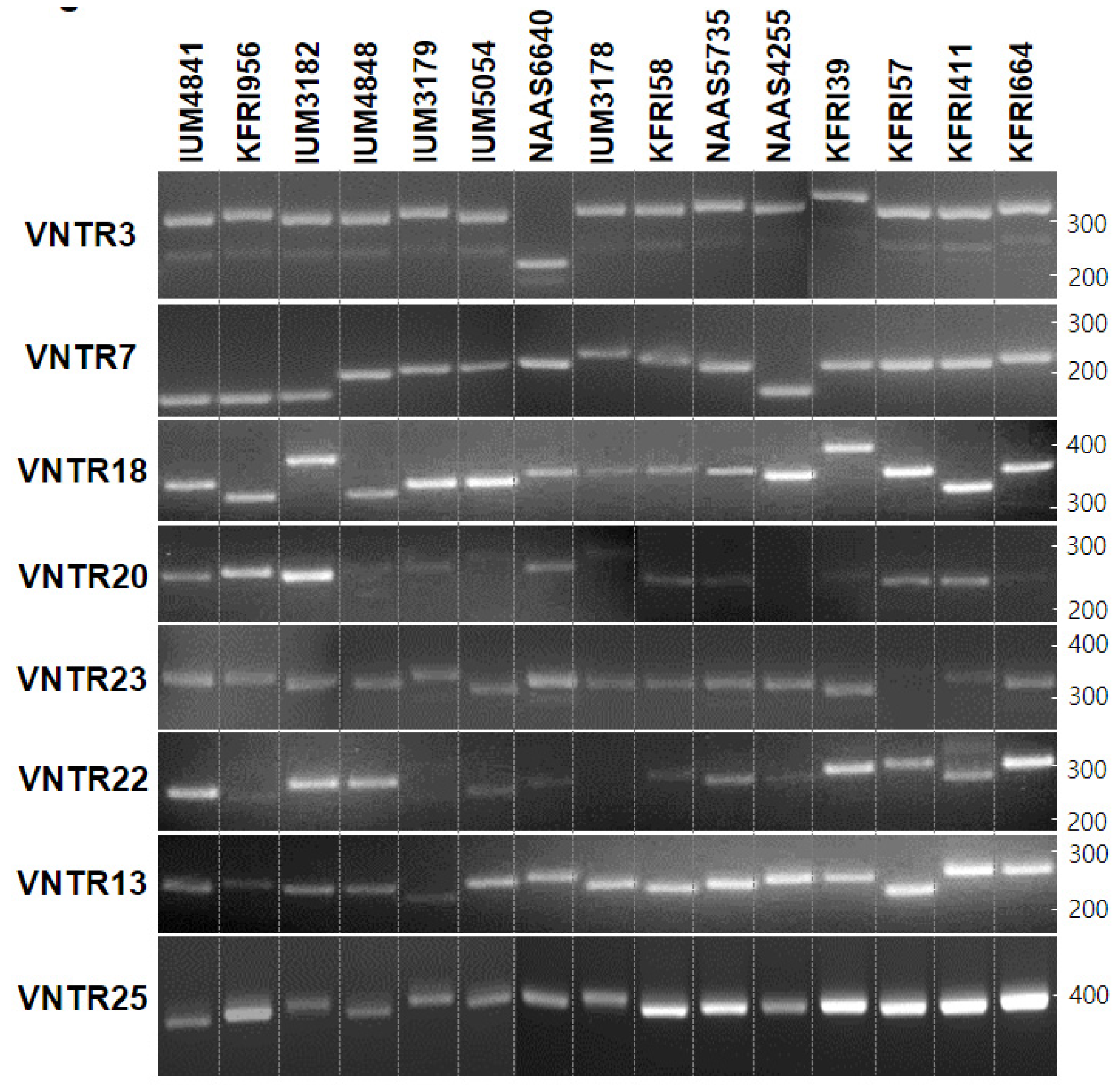 Genes 10 00542 g002 Genes 10 00542 g002