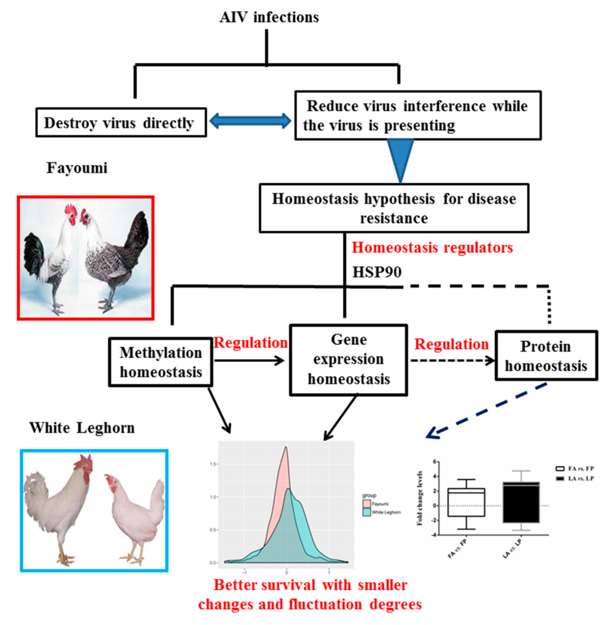 Genes 10 00543 g005