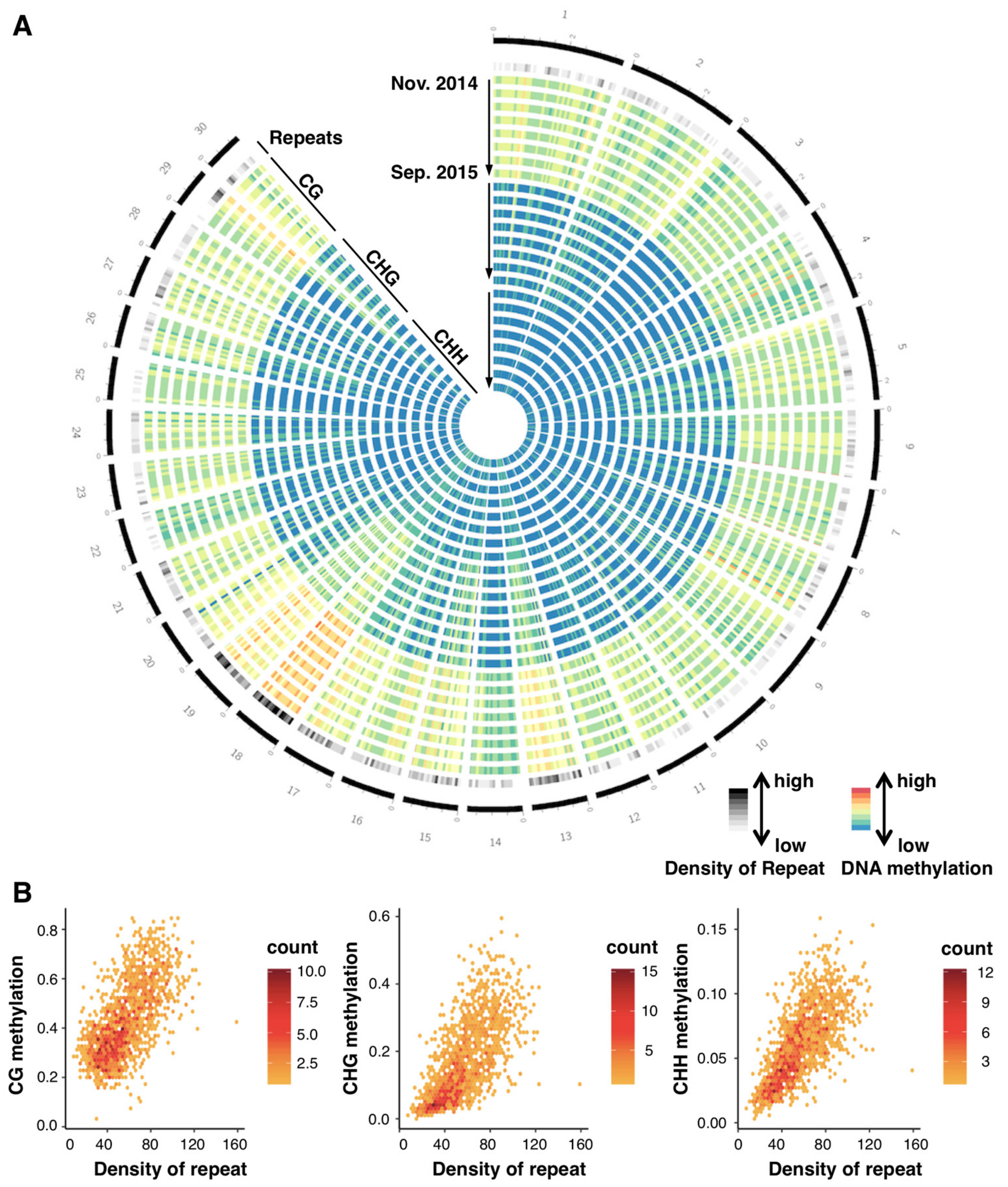 Genes 10 00544 g002