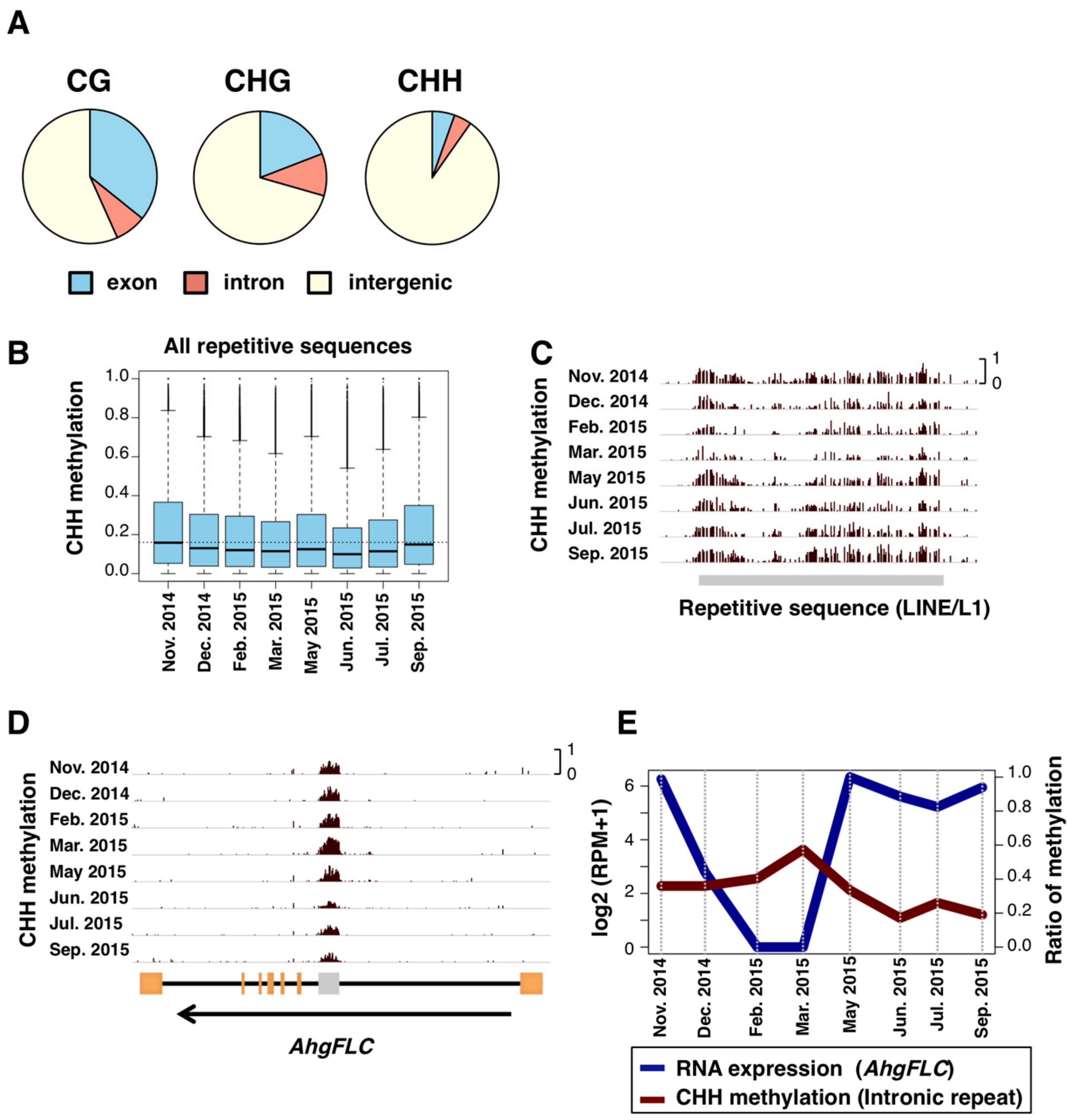 Genes 10 00544 g004