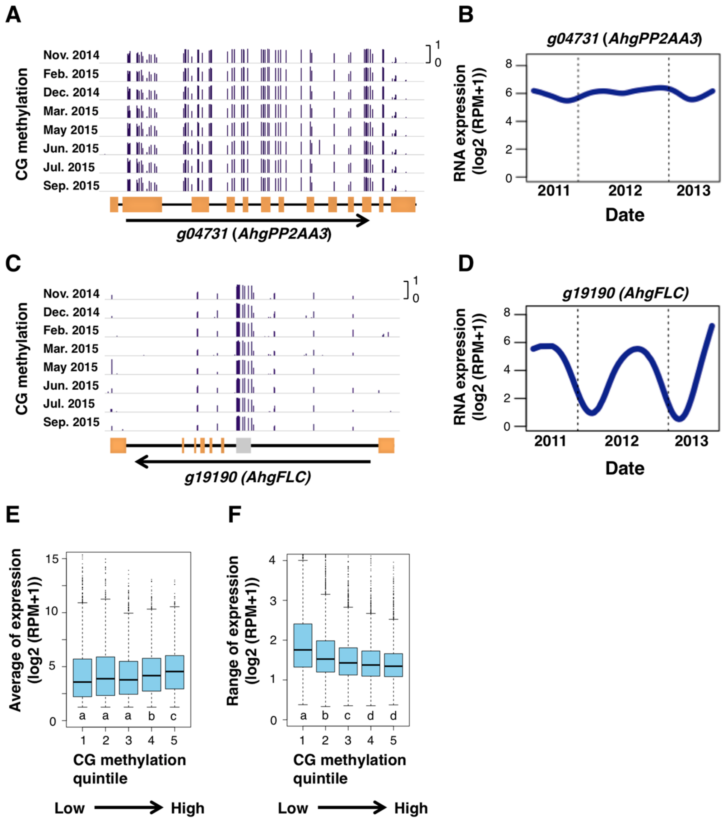 Genes 10 00544 g005