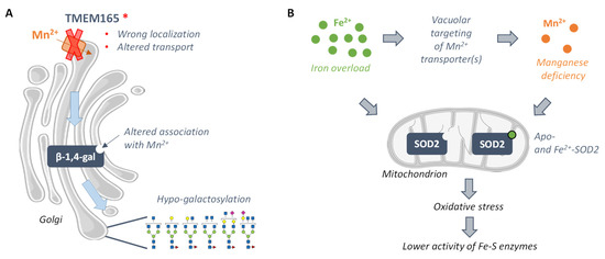 Dna thesis