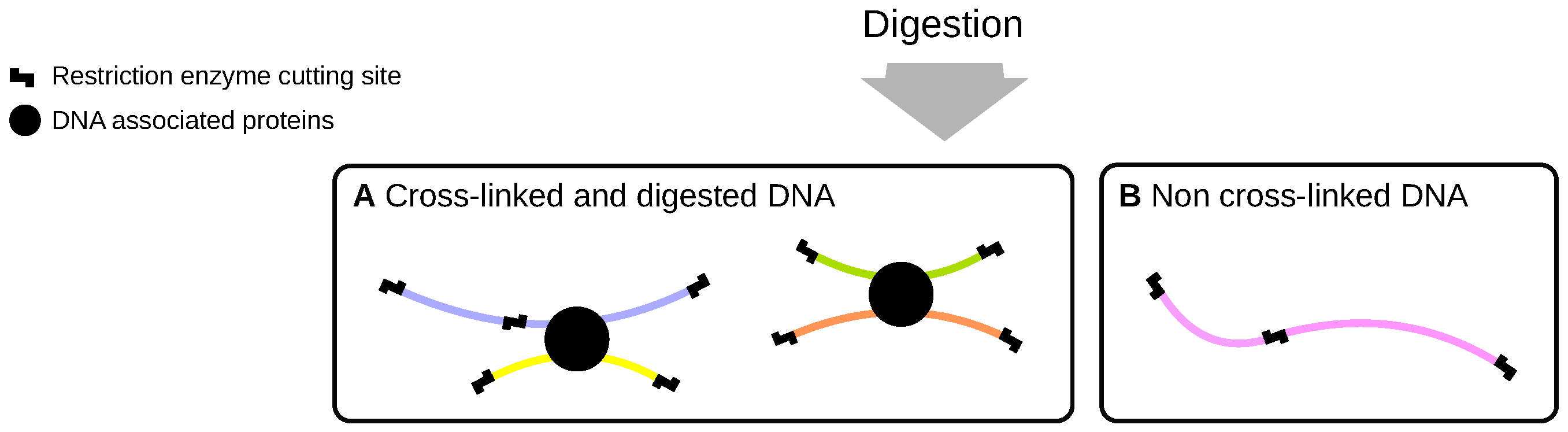 Genes 10 00548 g001 Genes 10 00548 g001