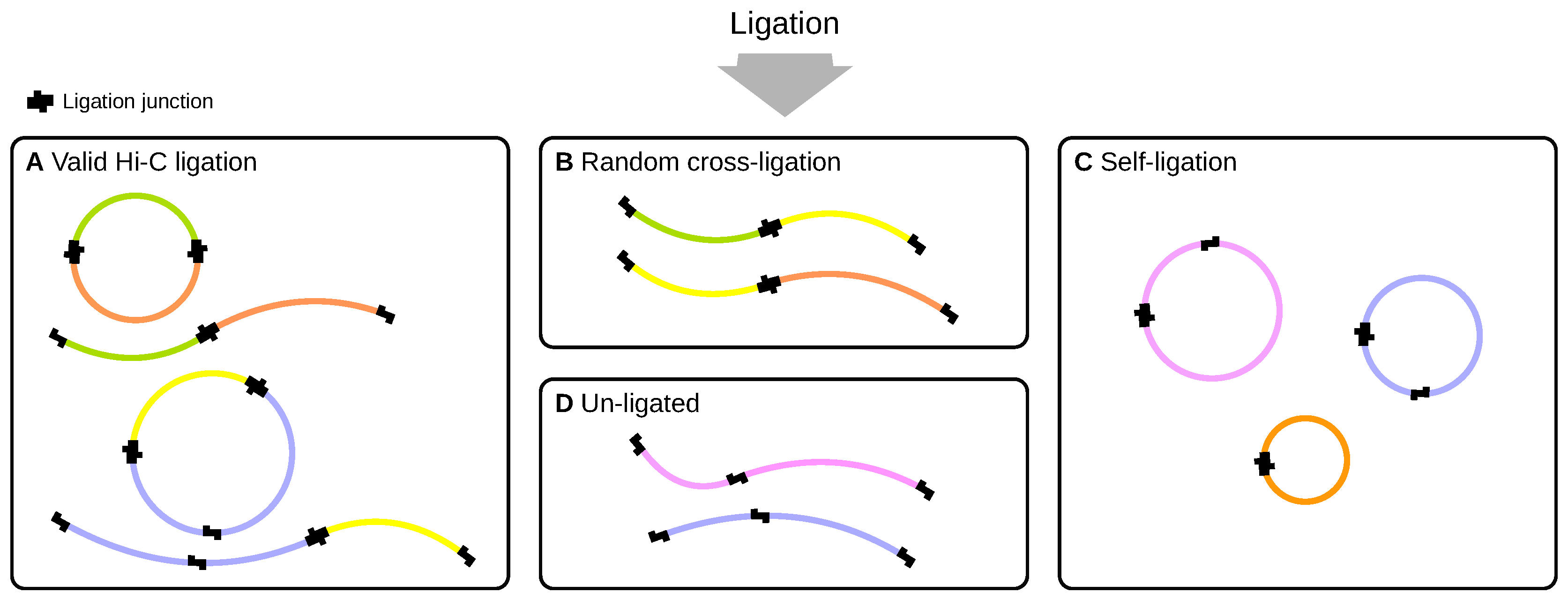 Genes 10 00548 g002 Genes 10 00548 g002