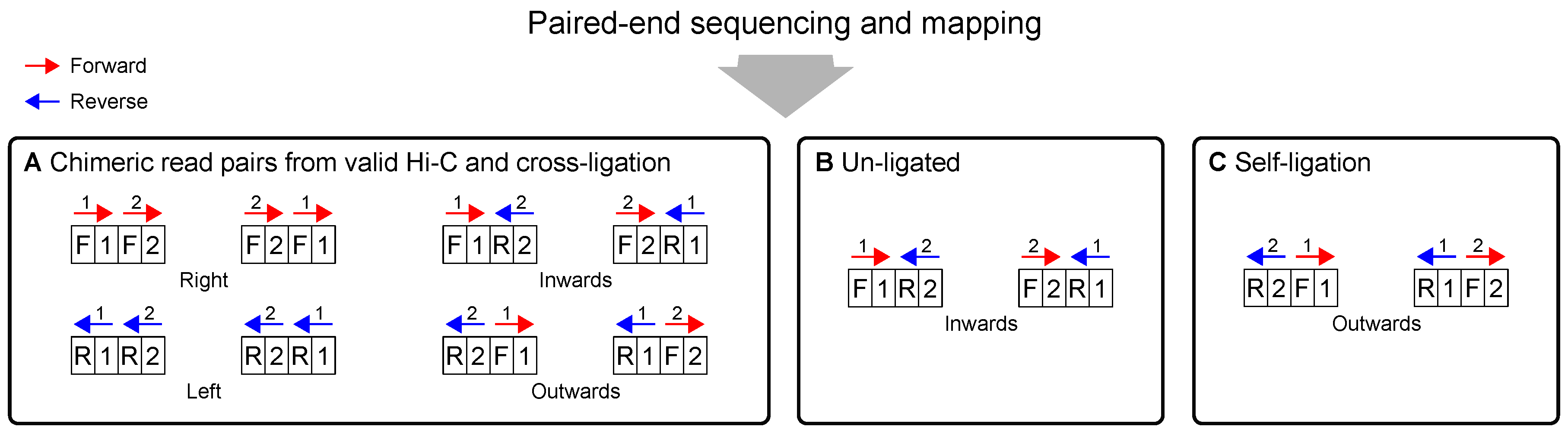 Genes 10 00548 g004 Genes 10 00548 g004