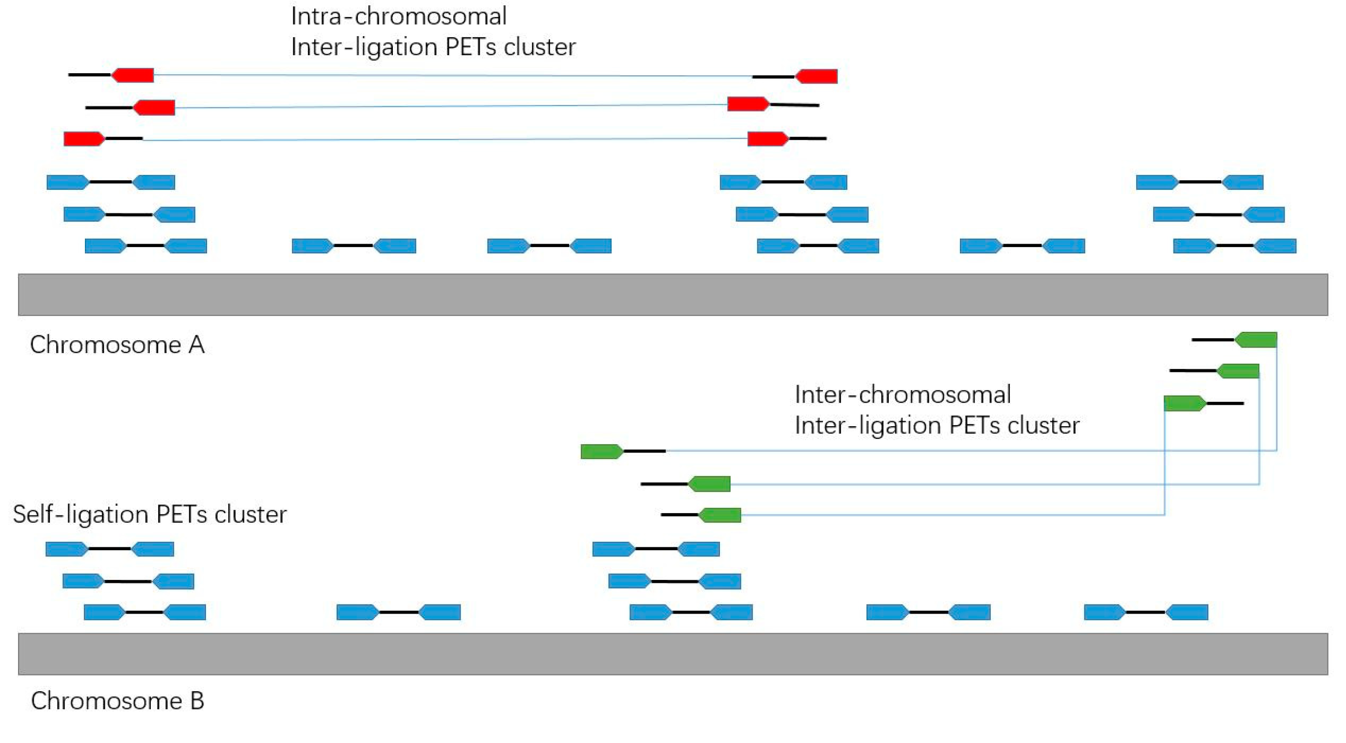 Genes 10 00554 g006