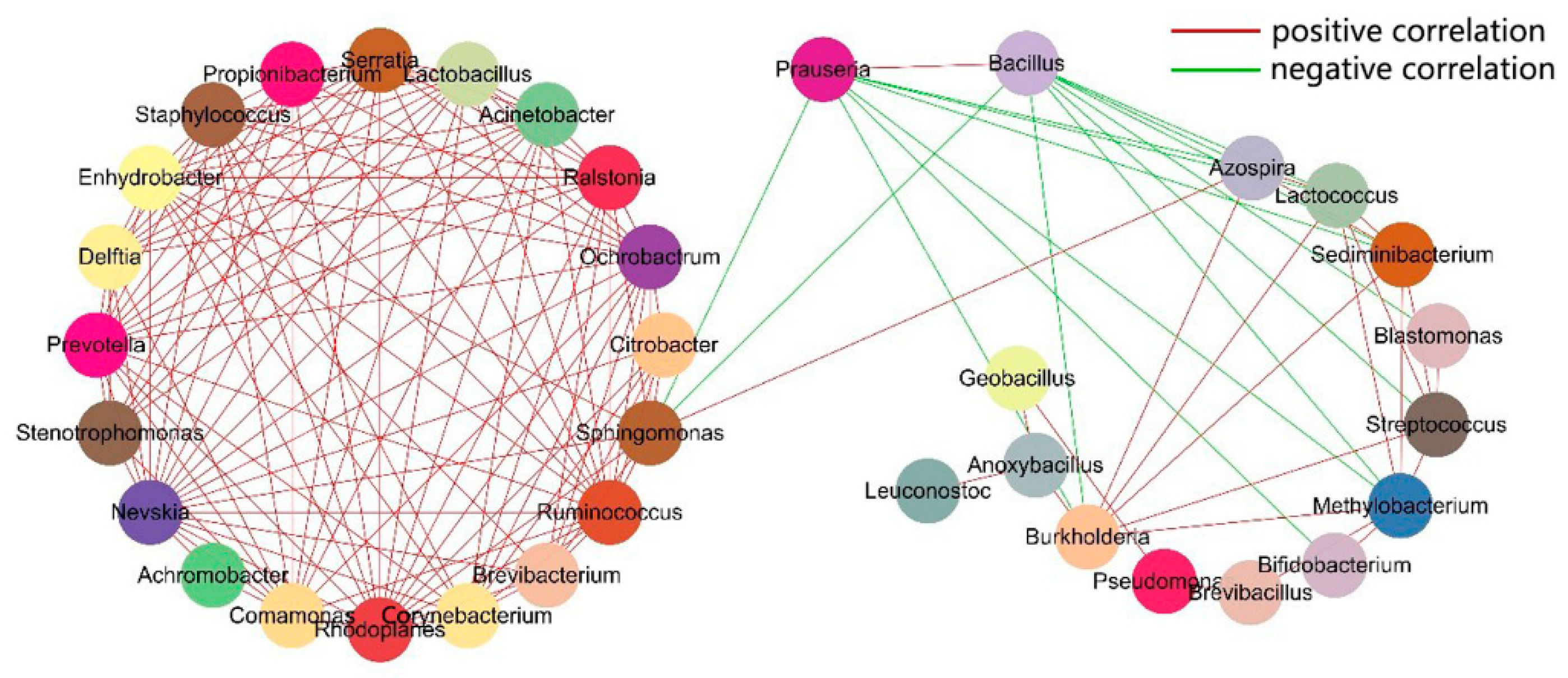 Genes 10 00556 g007
