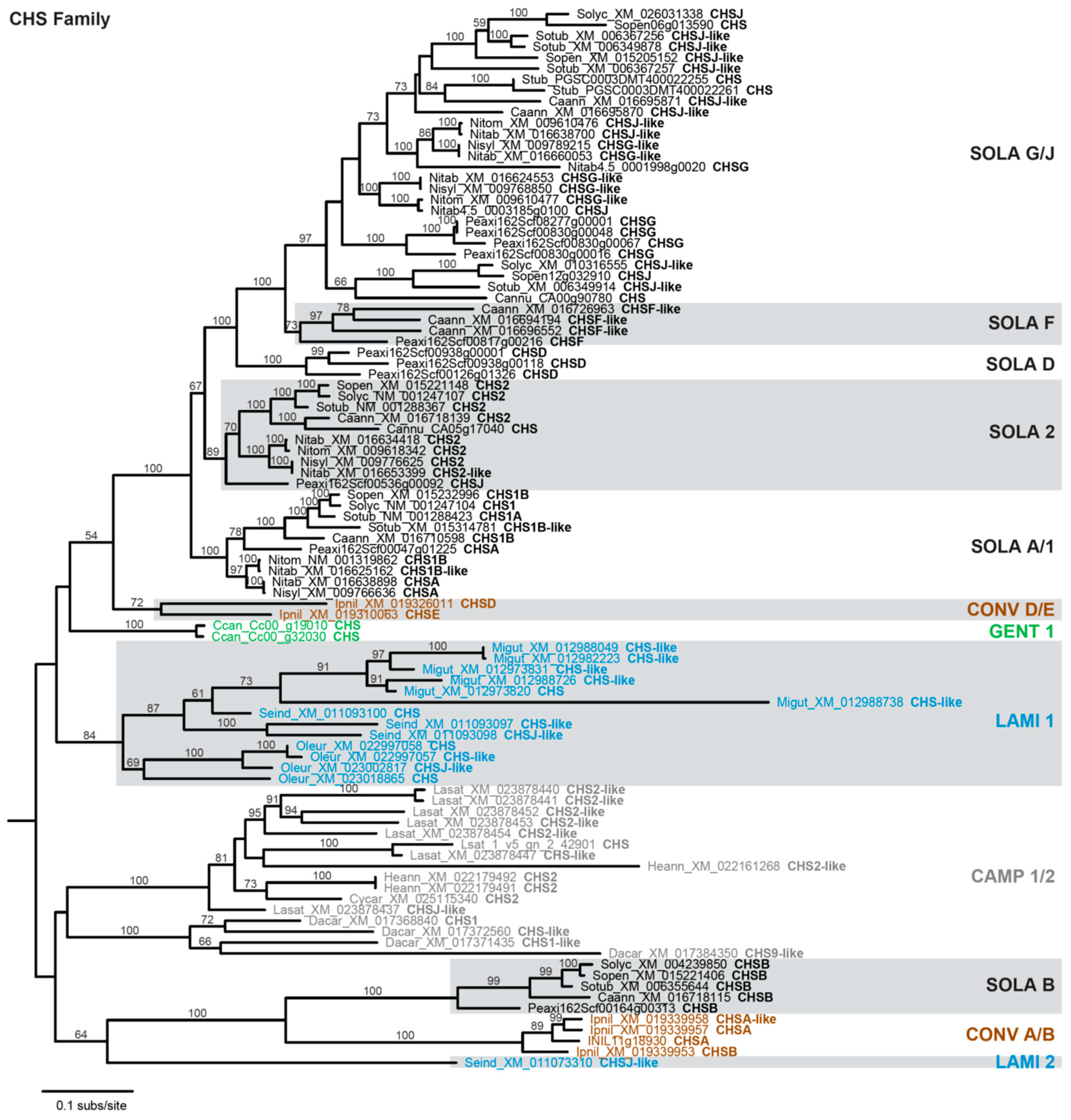 Genes 10 00559 g002