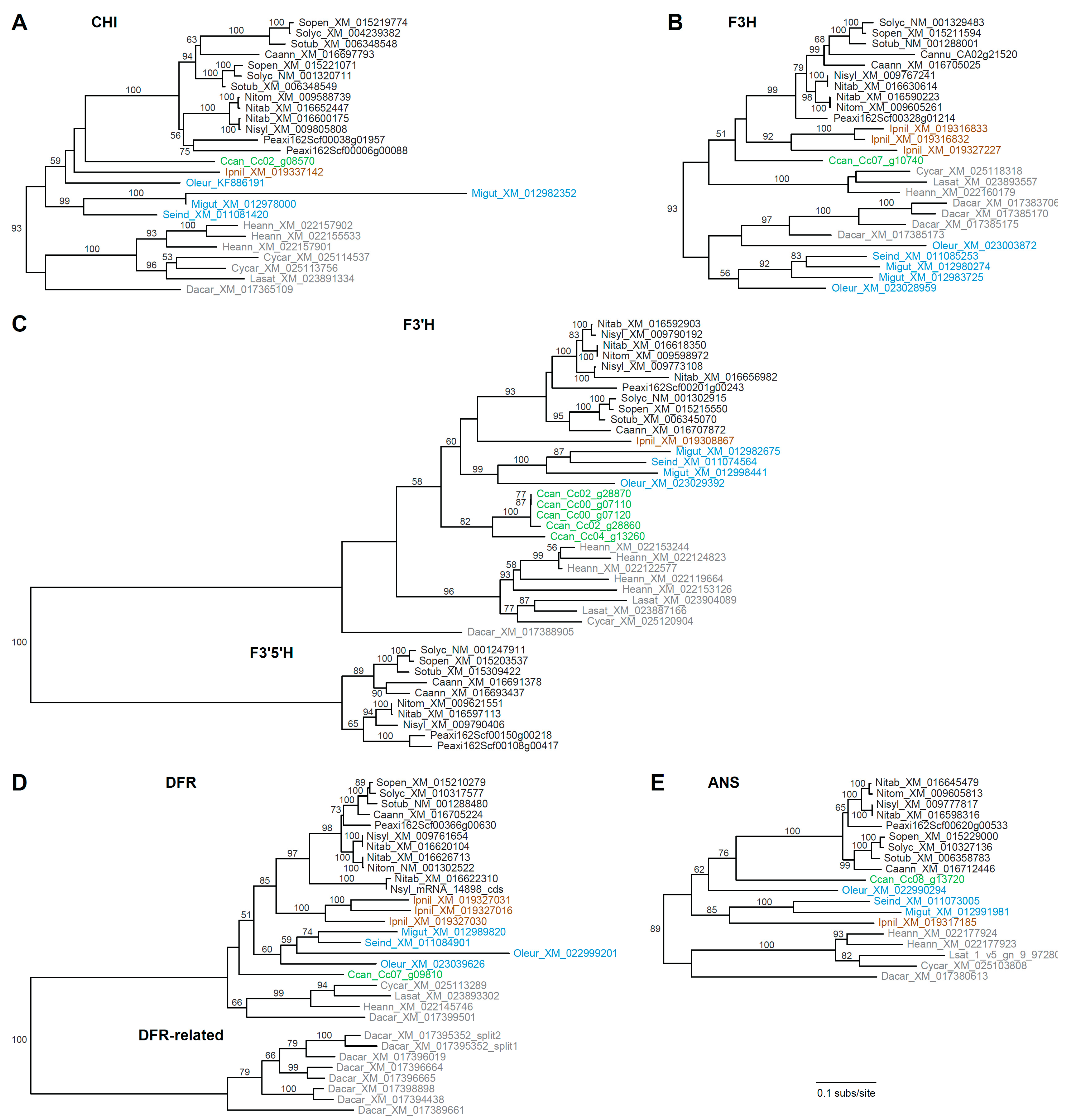Genes 10 00559 g003