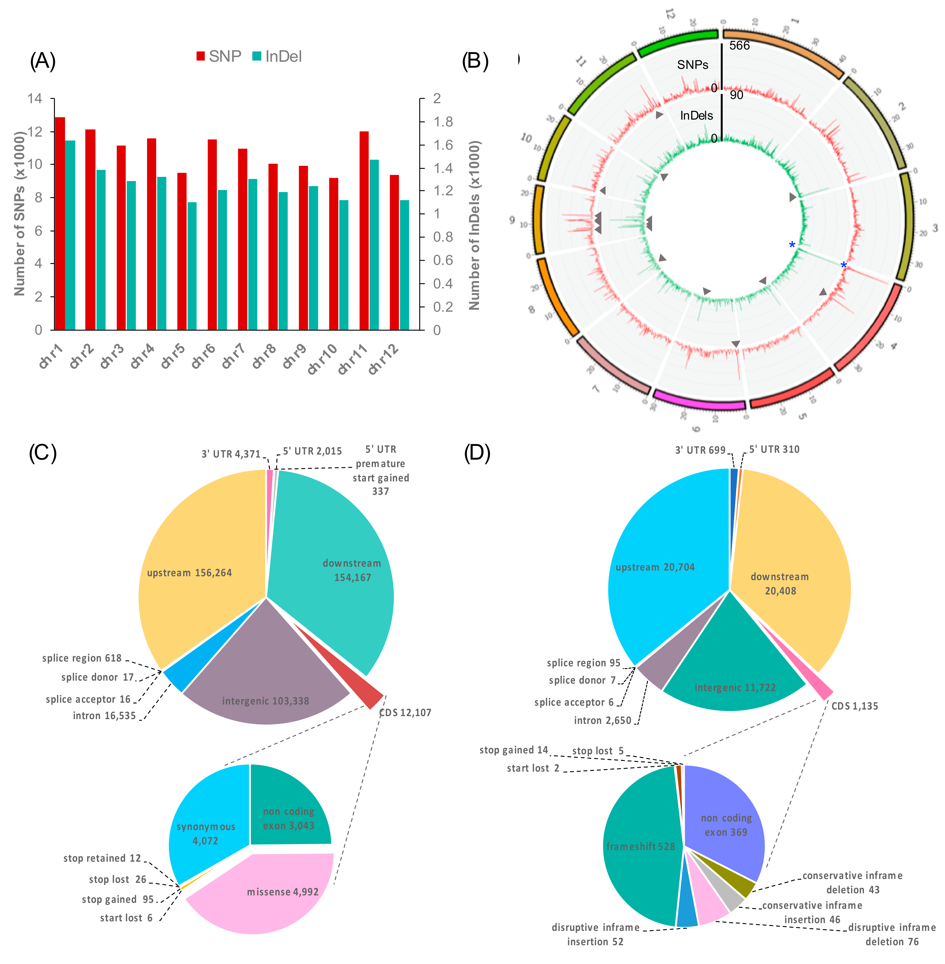 Genes 10 00562 g004