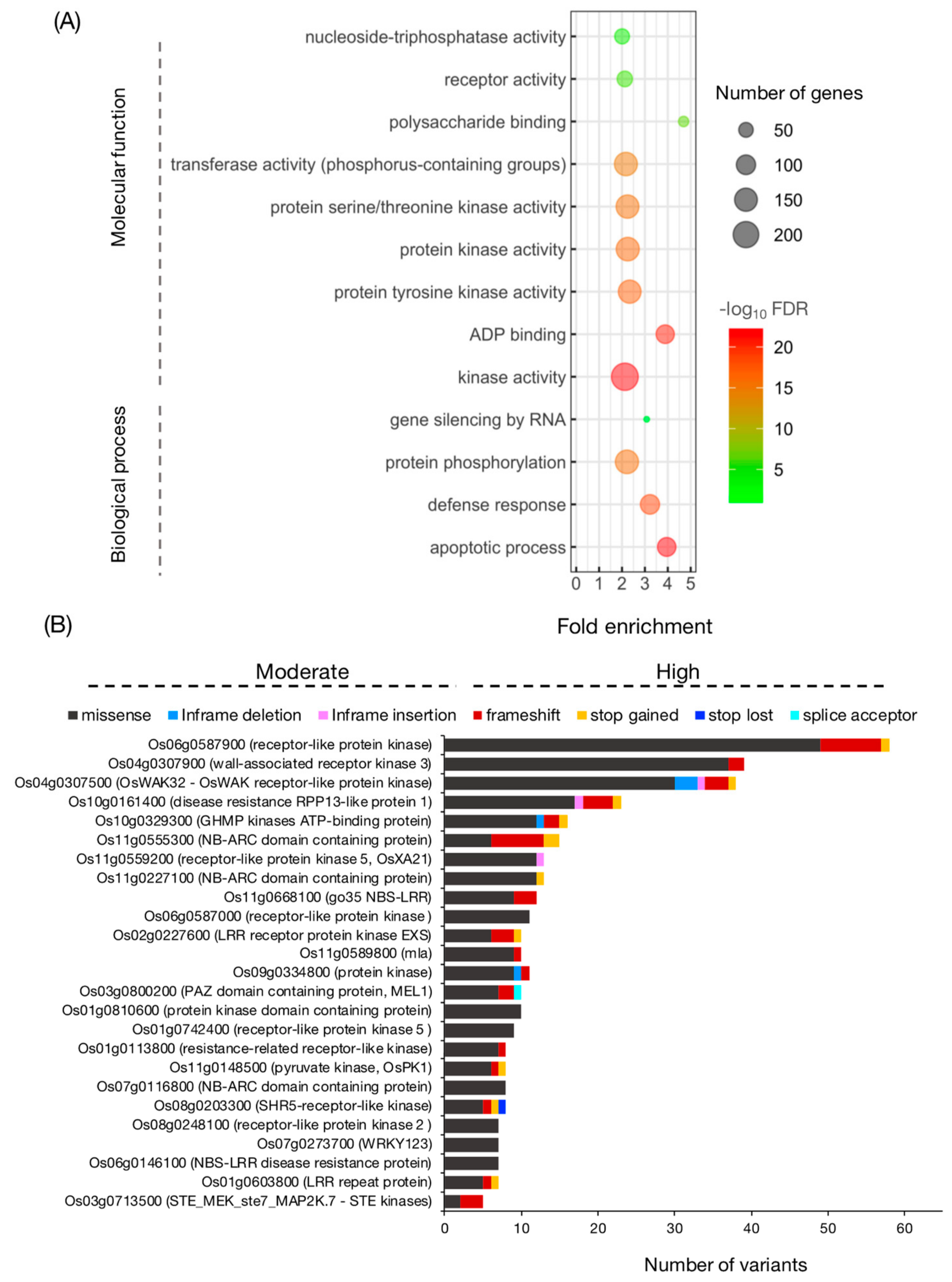 Genes 10 00562 g005
