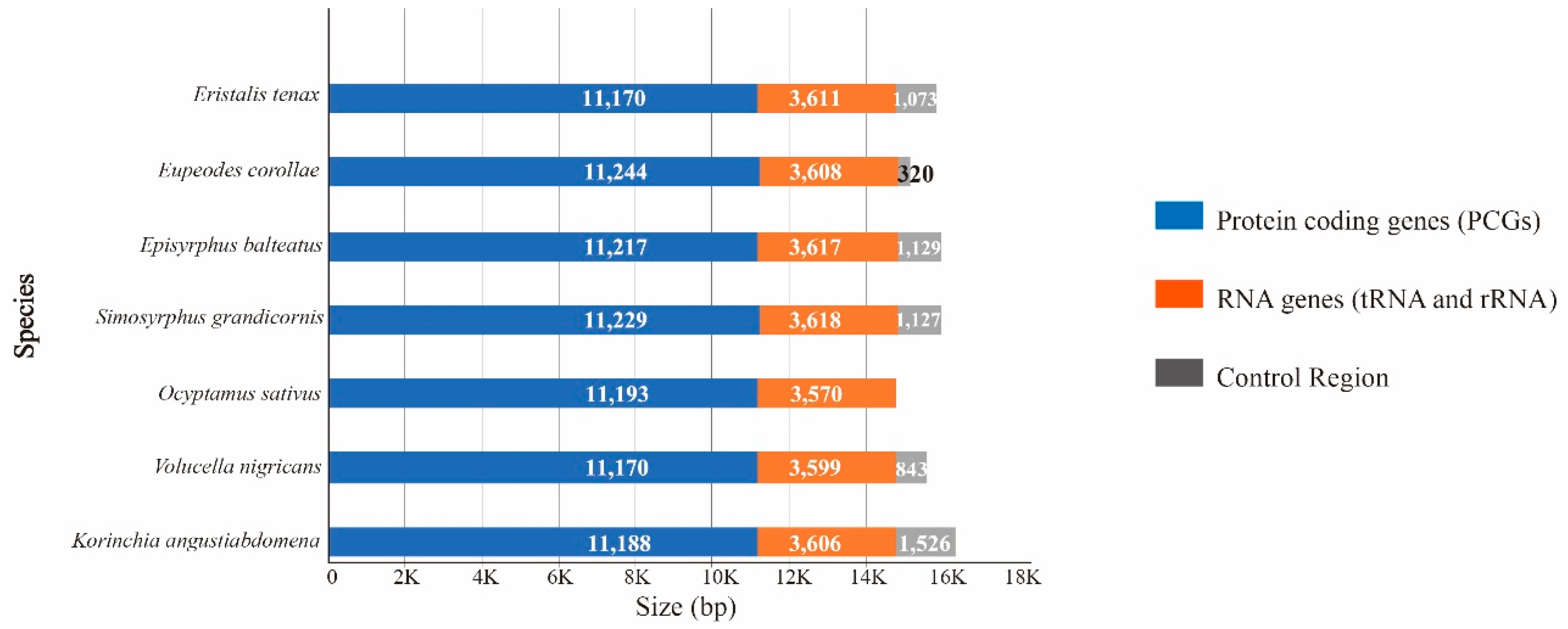 Genes 10 00563 g002 Genes 10 00563 g002