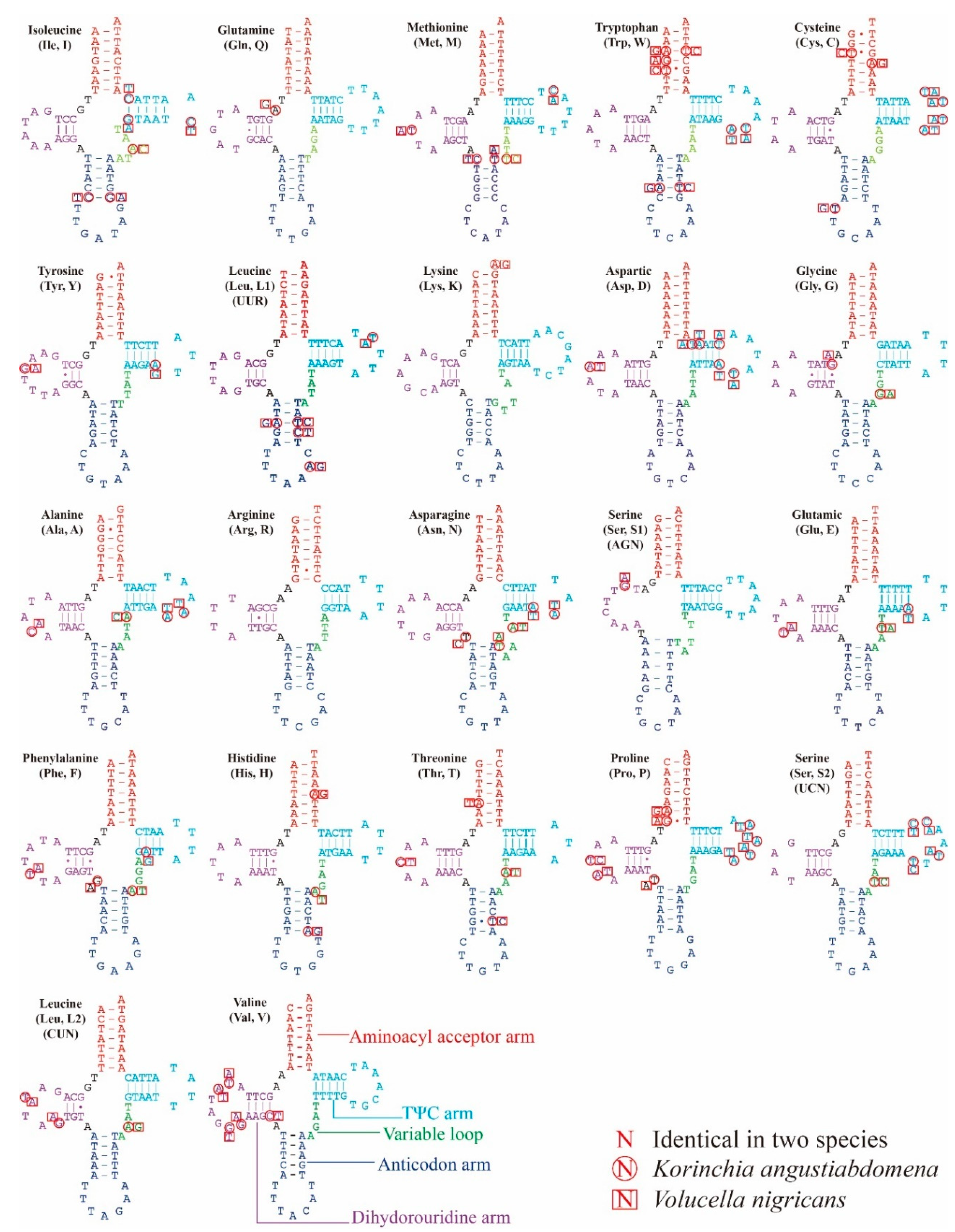 Genes 10 00563 g005 Genes 10 00563 g005
