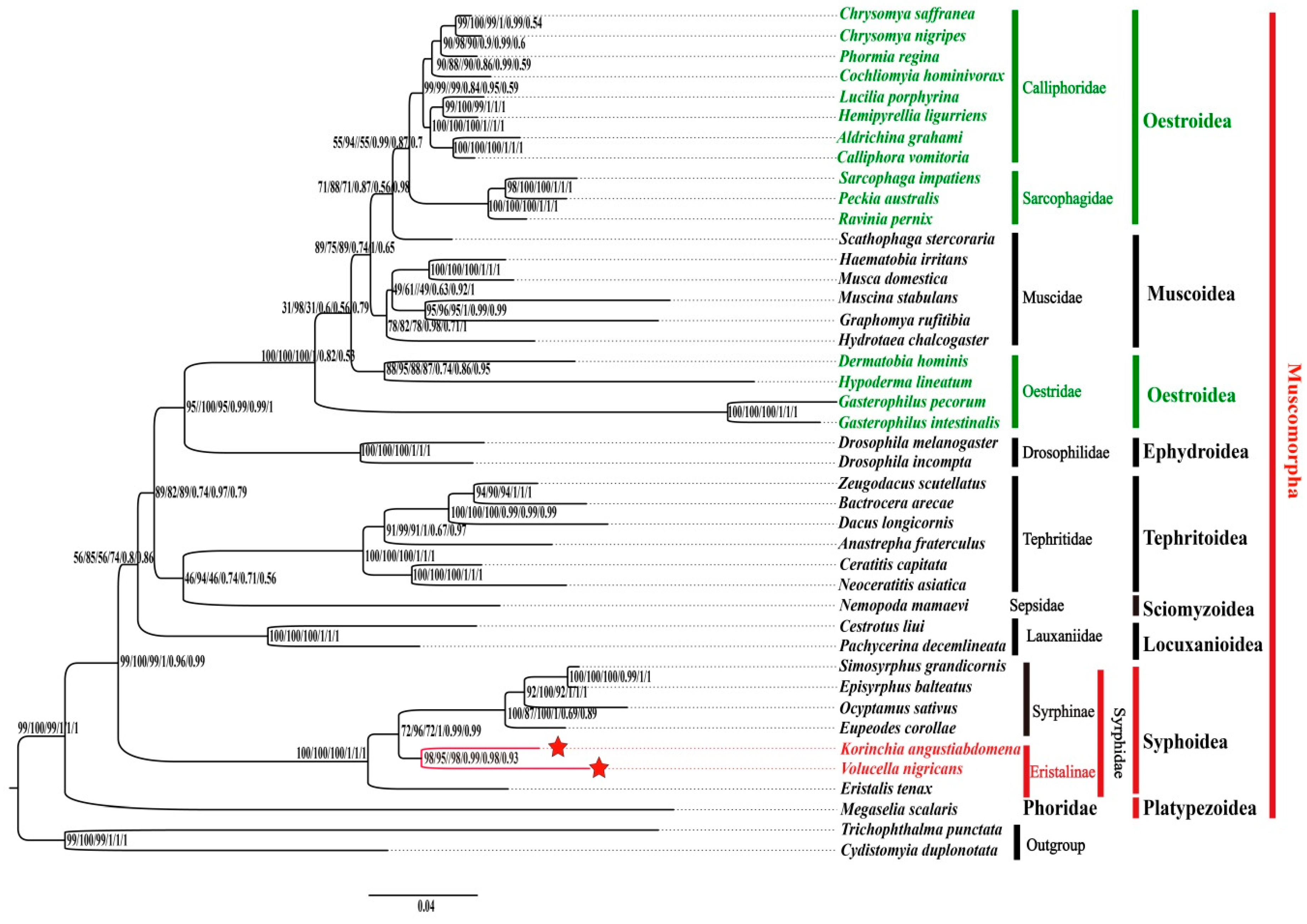 Genes 10 00563 g006 Genes 10 00563 g006