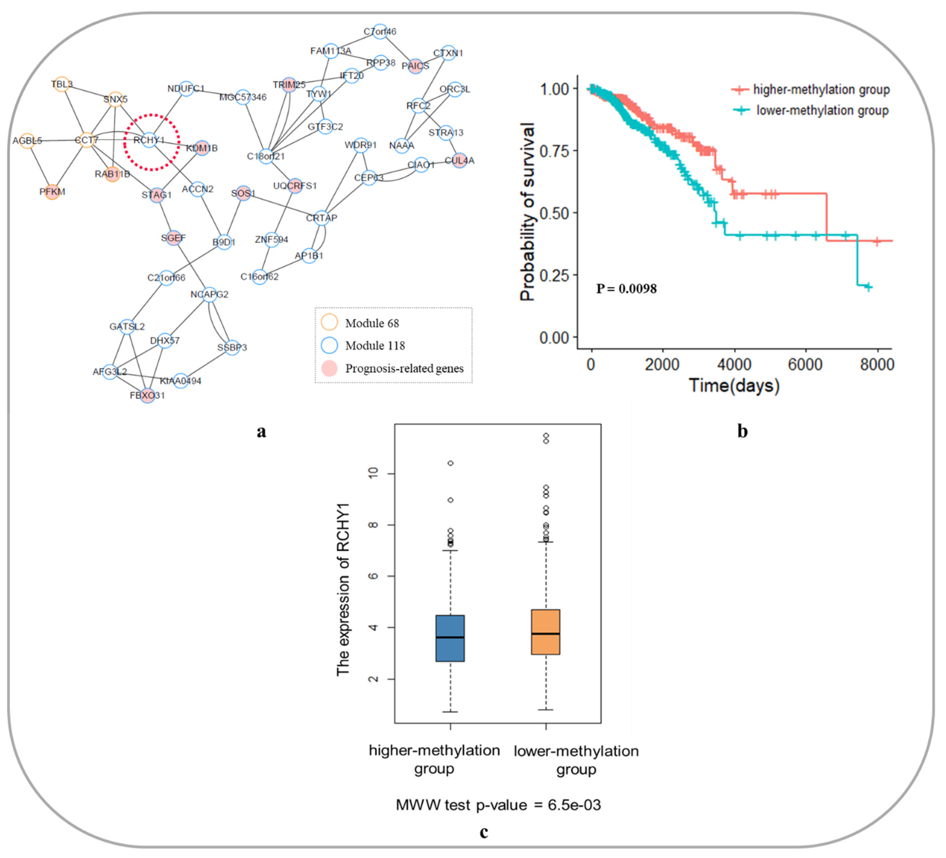 Genes 10 00571 g007 Genes 10 00571 g007
