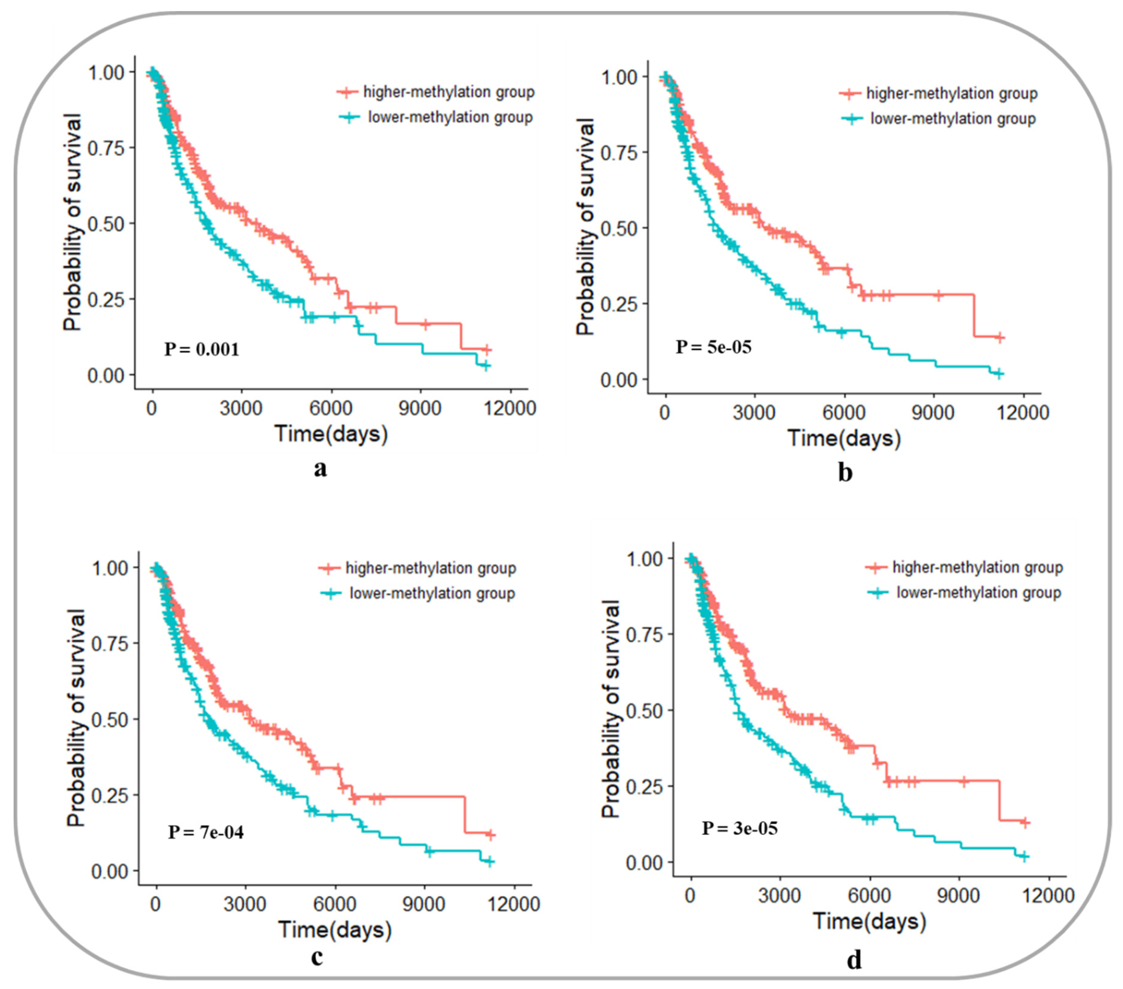 Genes 10 00571 g009 Genes 10 00571 g009