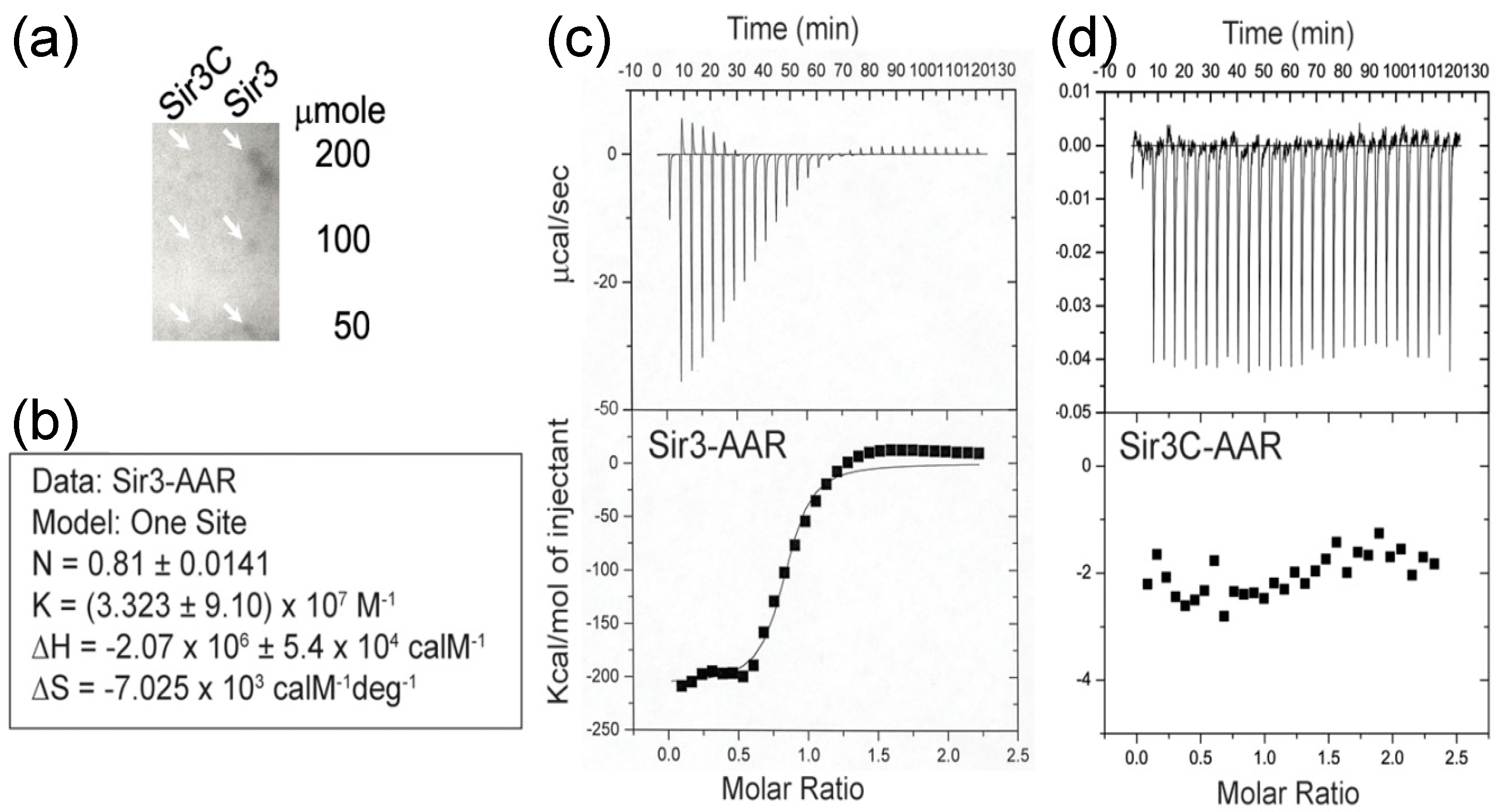 Genes 10 00577 g001