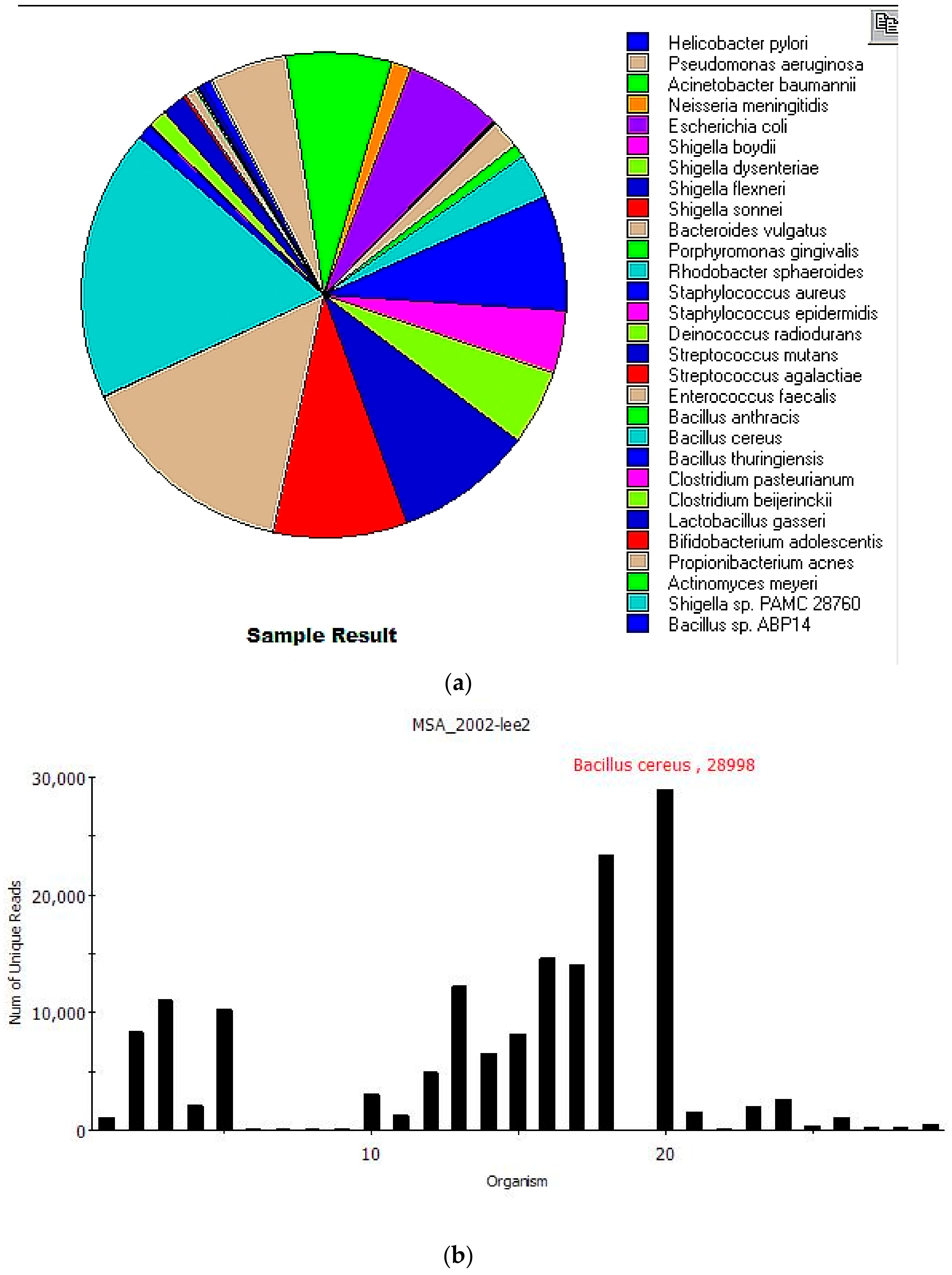 Genes 10 00578 g002