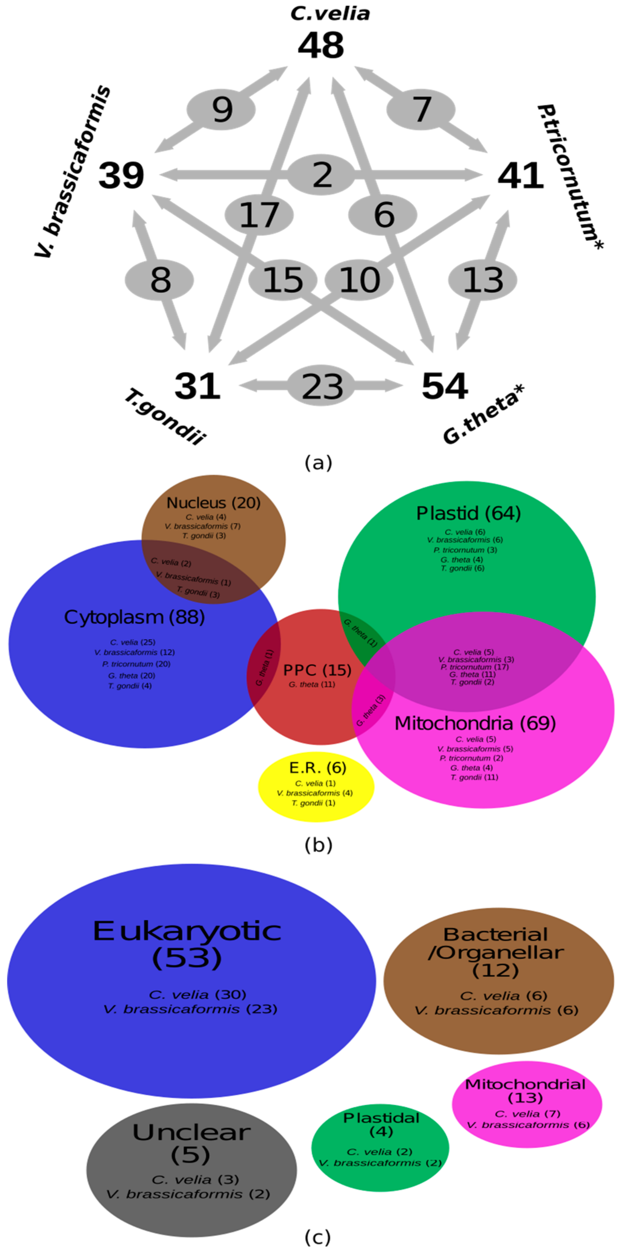 Aminoacyl-tRNA Synthetases in Biology and Medicine