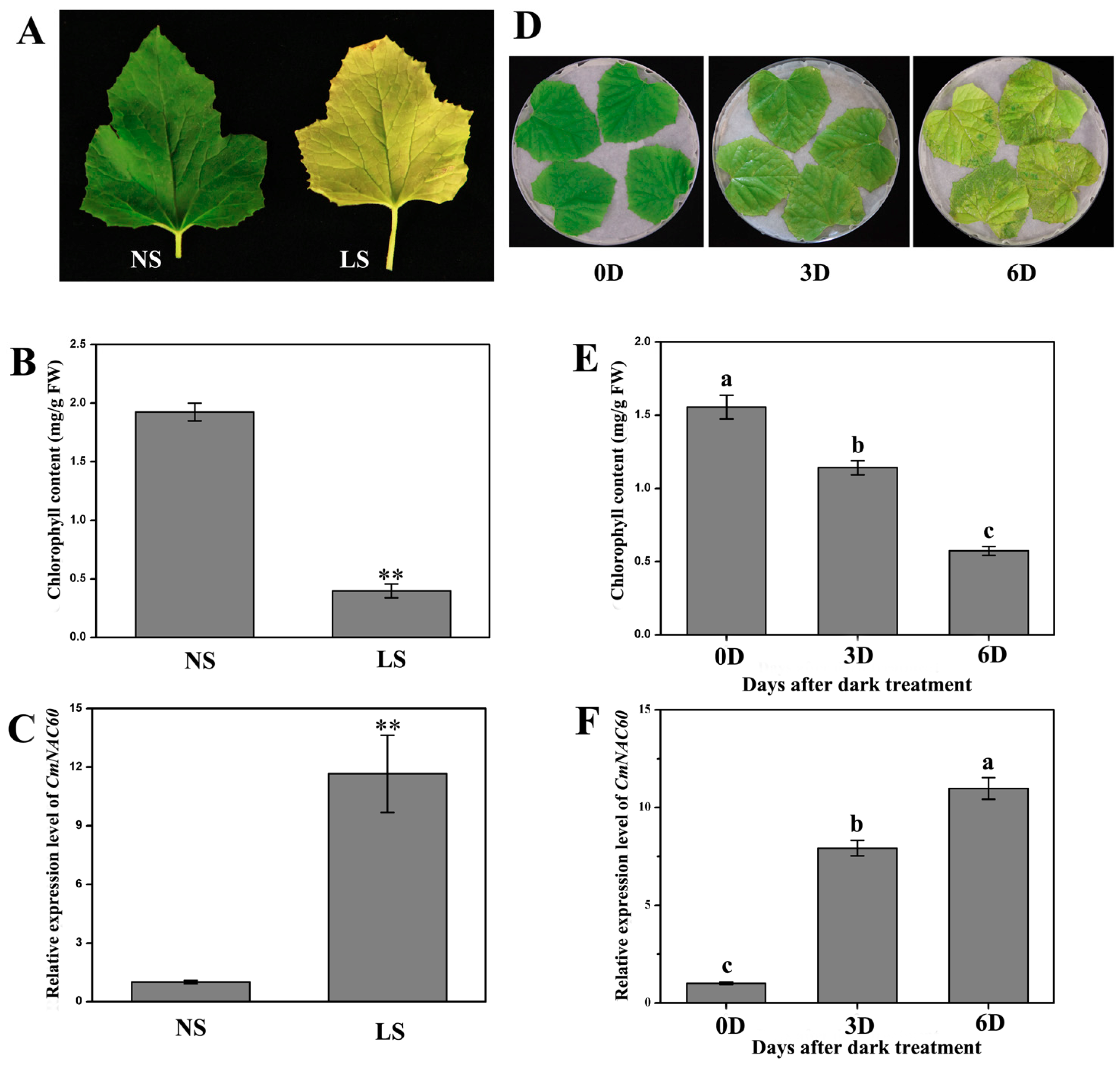Genes 10 00584 g003