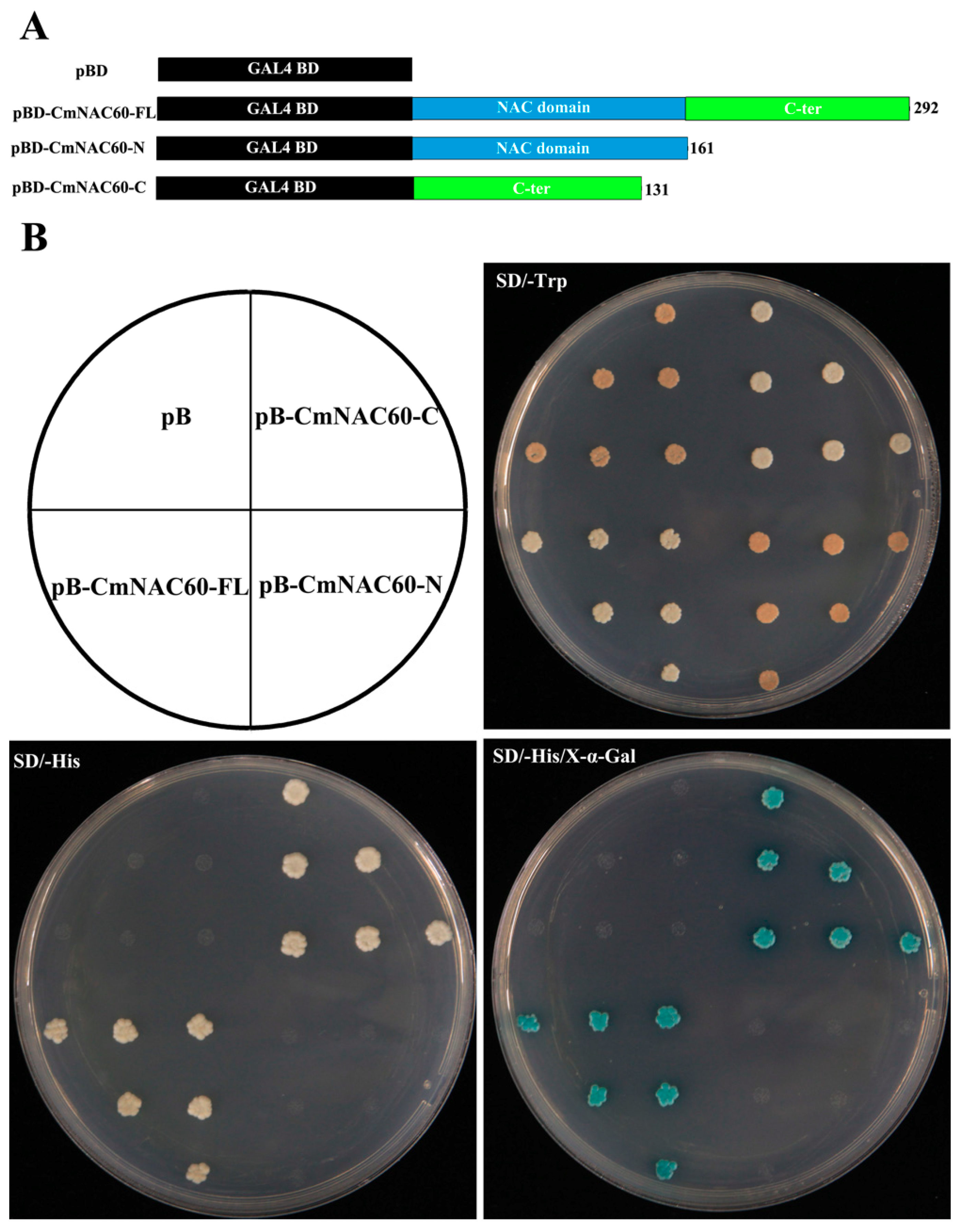 Genes 10 00584 g005