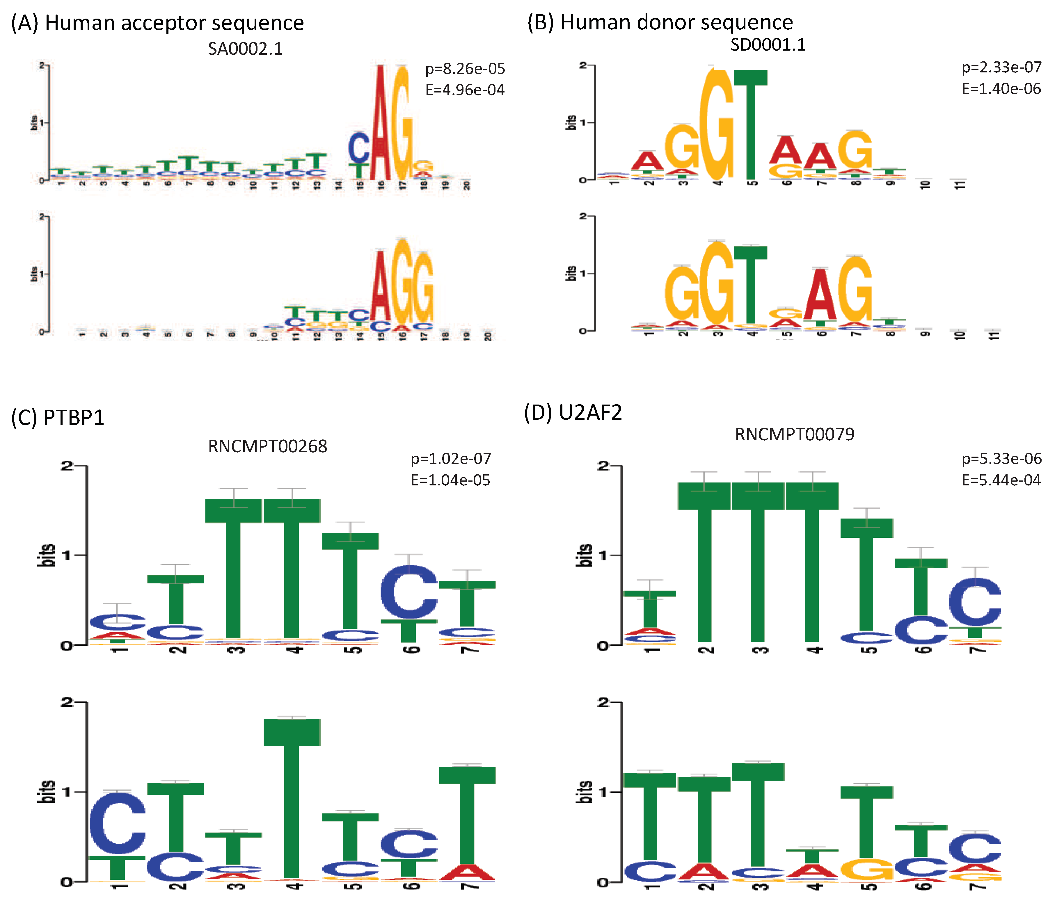 Genes 10 00587 g009 Genes 10 00587 g009