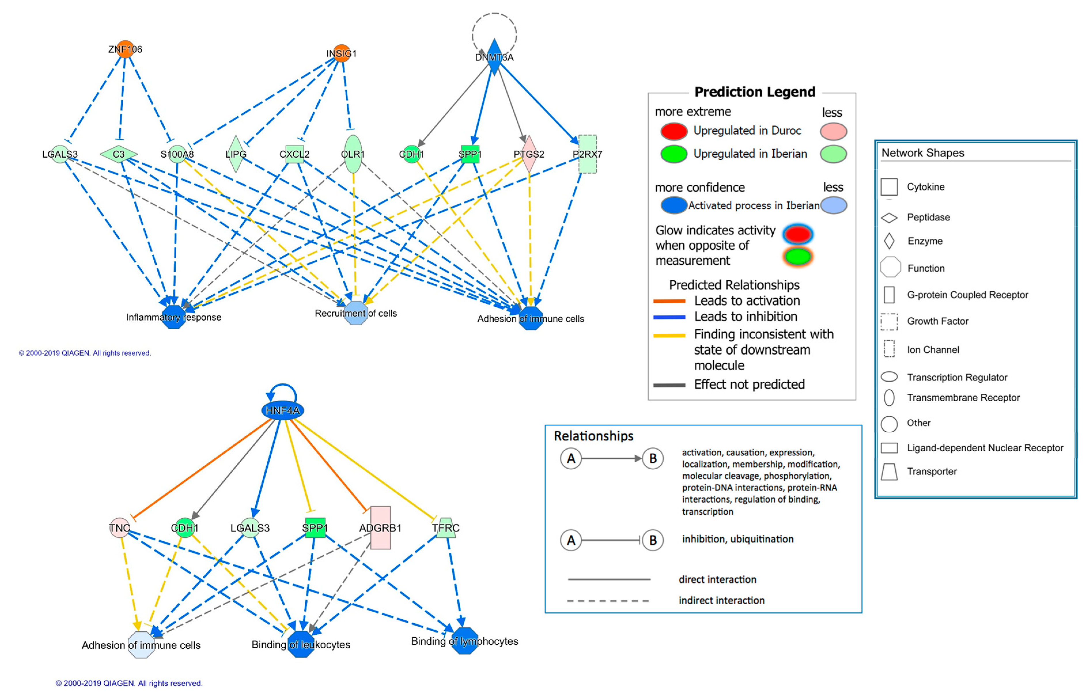 Genes 10 00589 g001