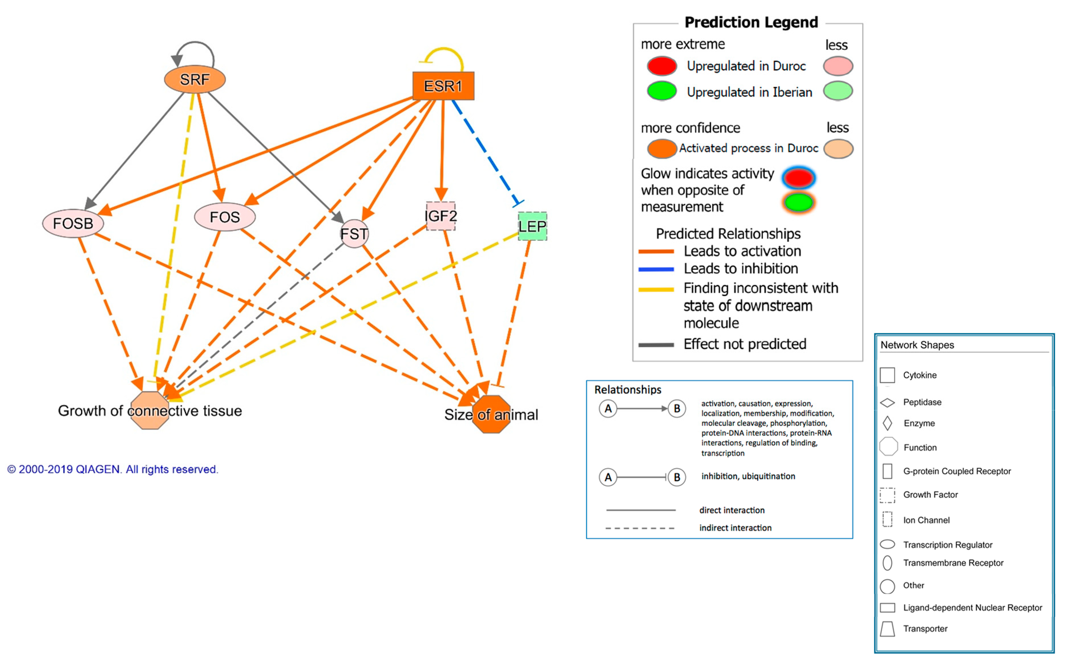 Genes 10 00589 g002