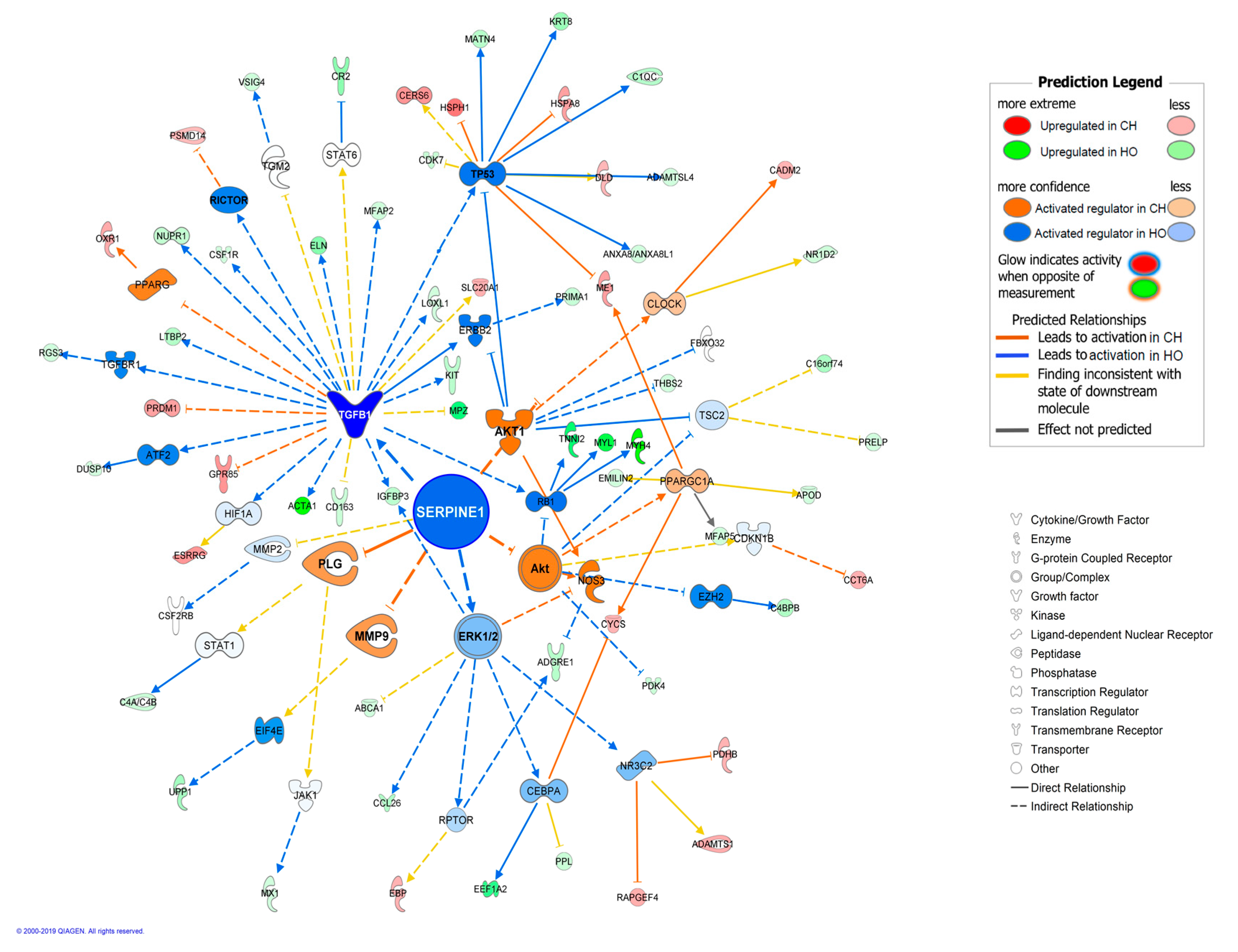 Genes 10 00589 g003