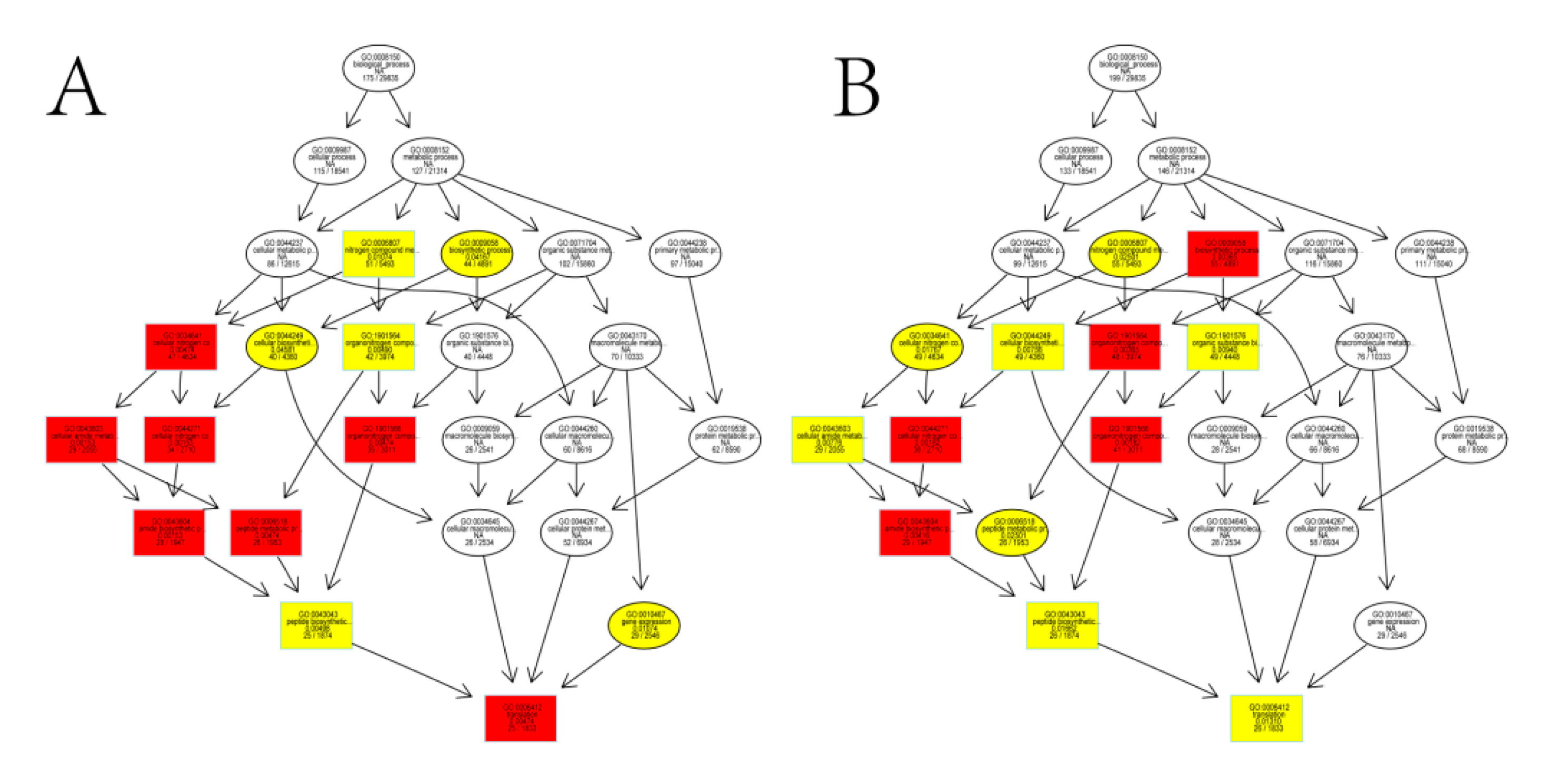 Genes 10 00591 g004 Genes 10 00591 g004