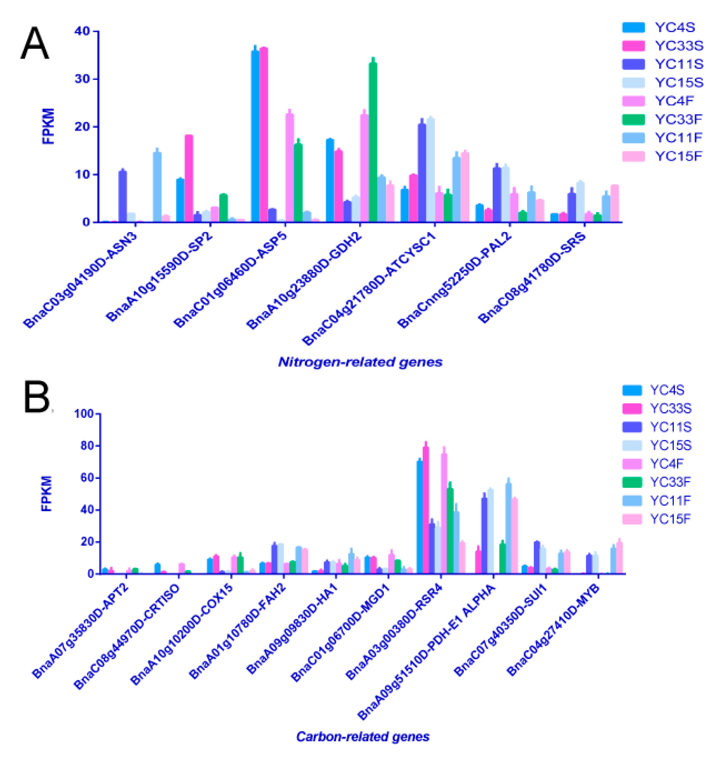 Genes 10 00591 g006 Genes 10 00591 g006