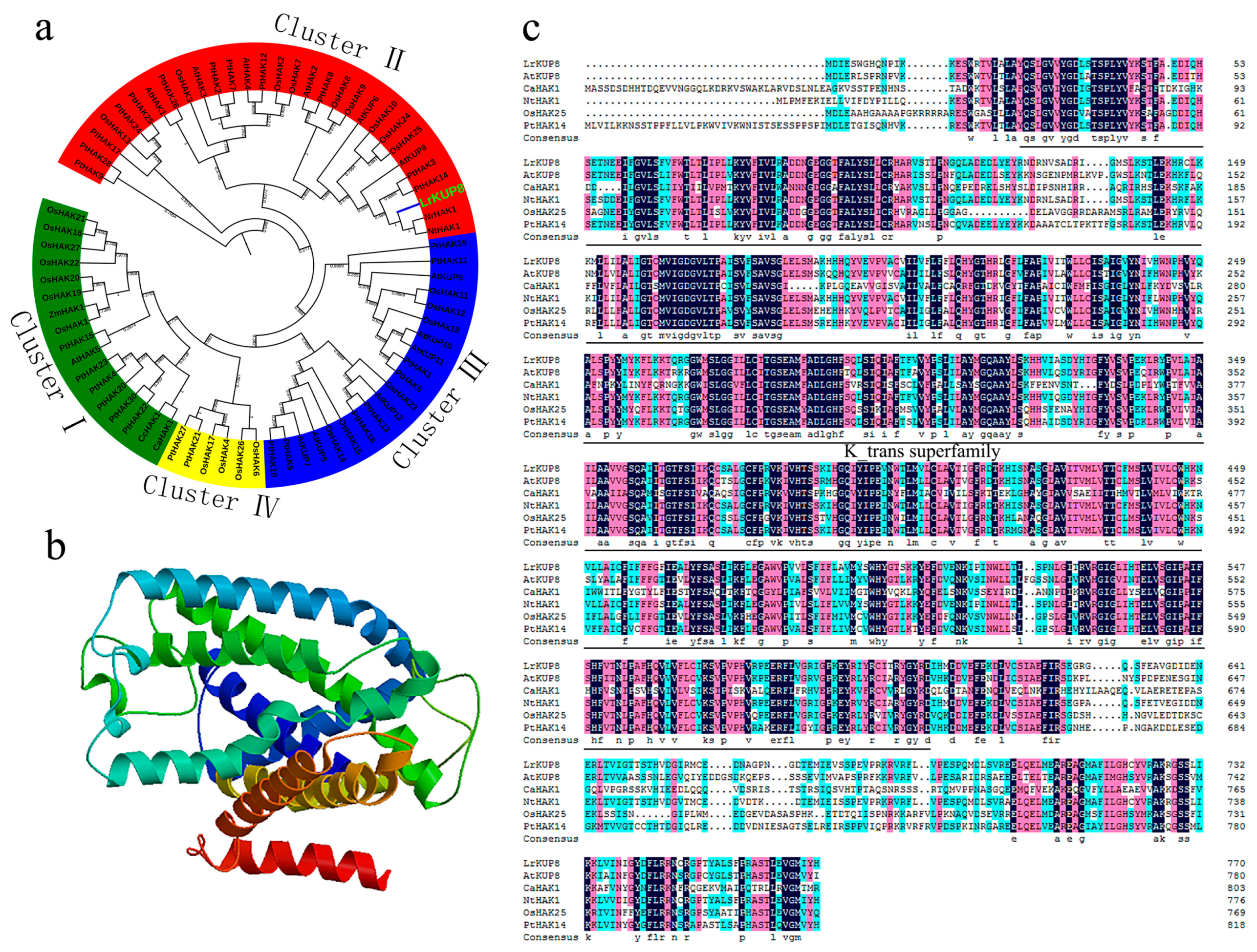 Genes 10 00600 g002 Genes 10 00600 g002