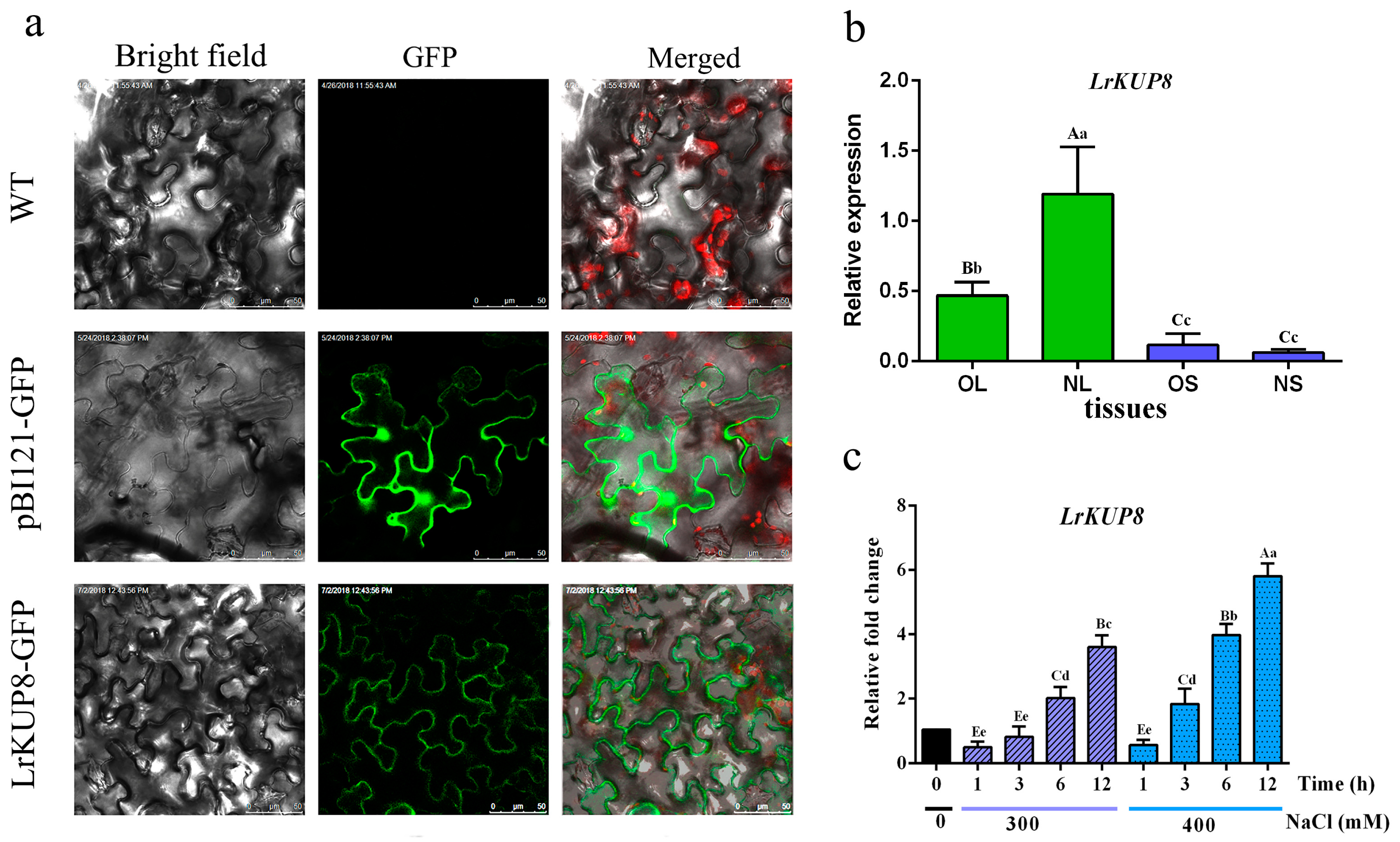 Genes 10 00600 g003 Genes 10 00600 g003
