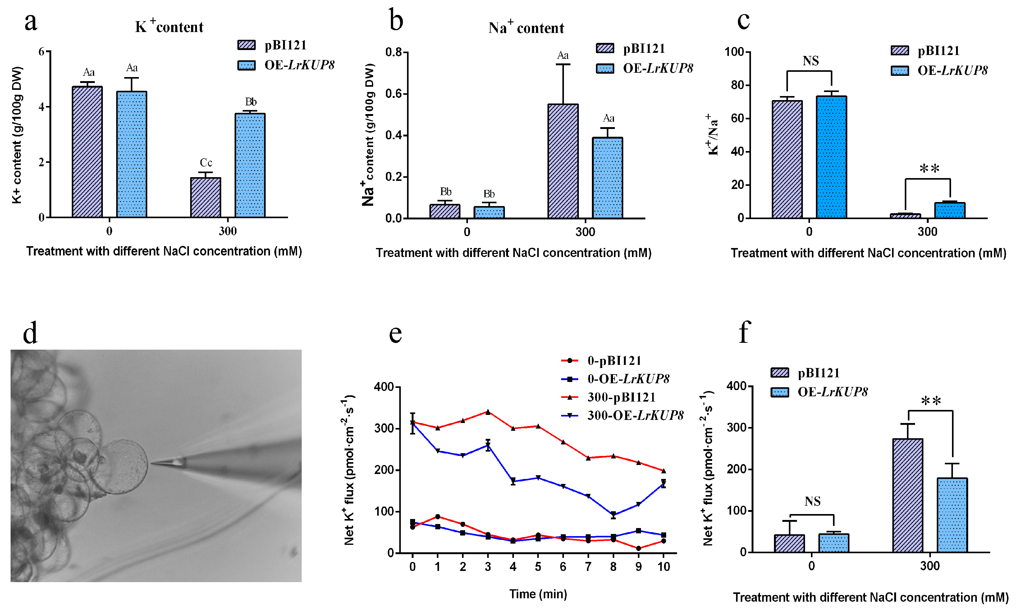 Genes 10 00600 g005 Genes 10 00600 g005