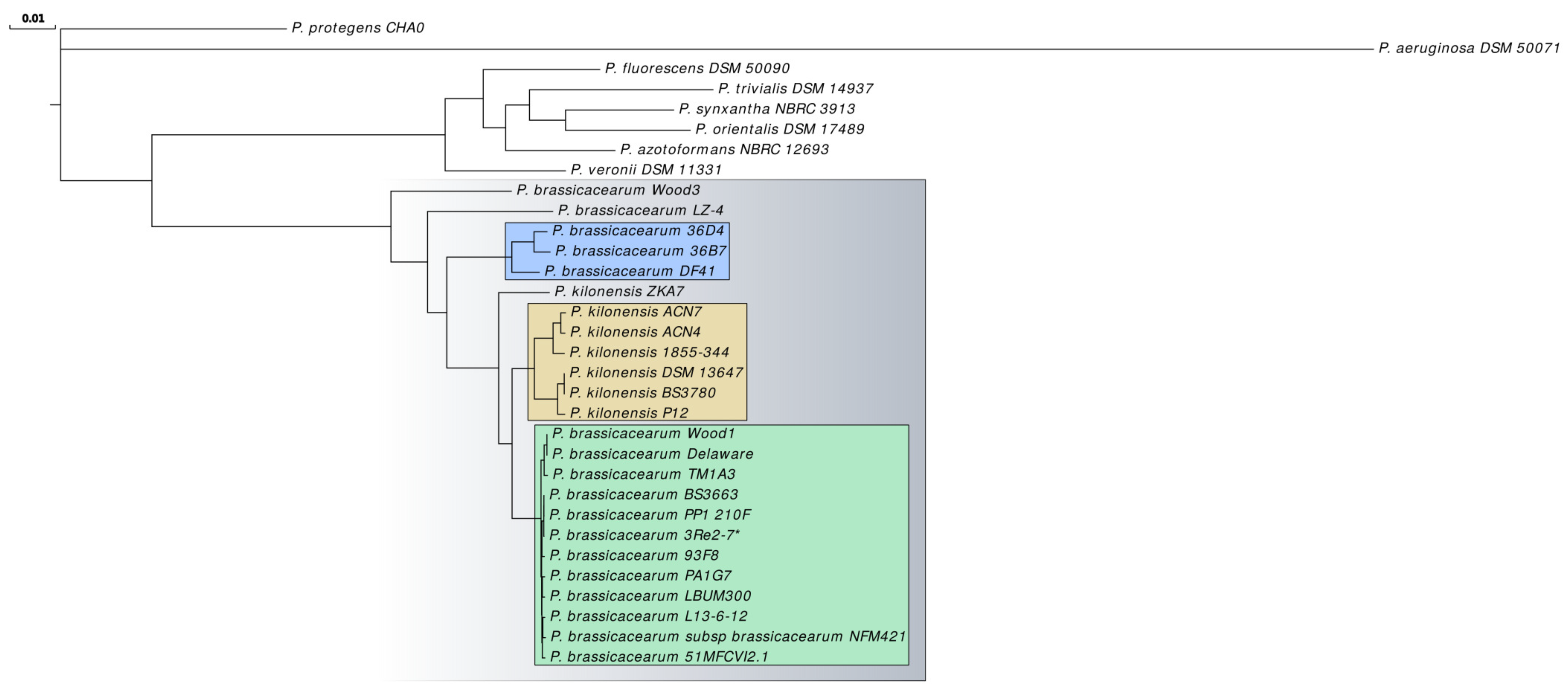 Genes 10 00601 g004