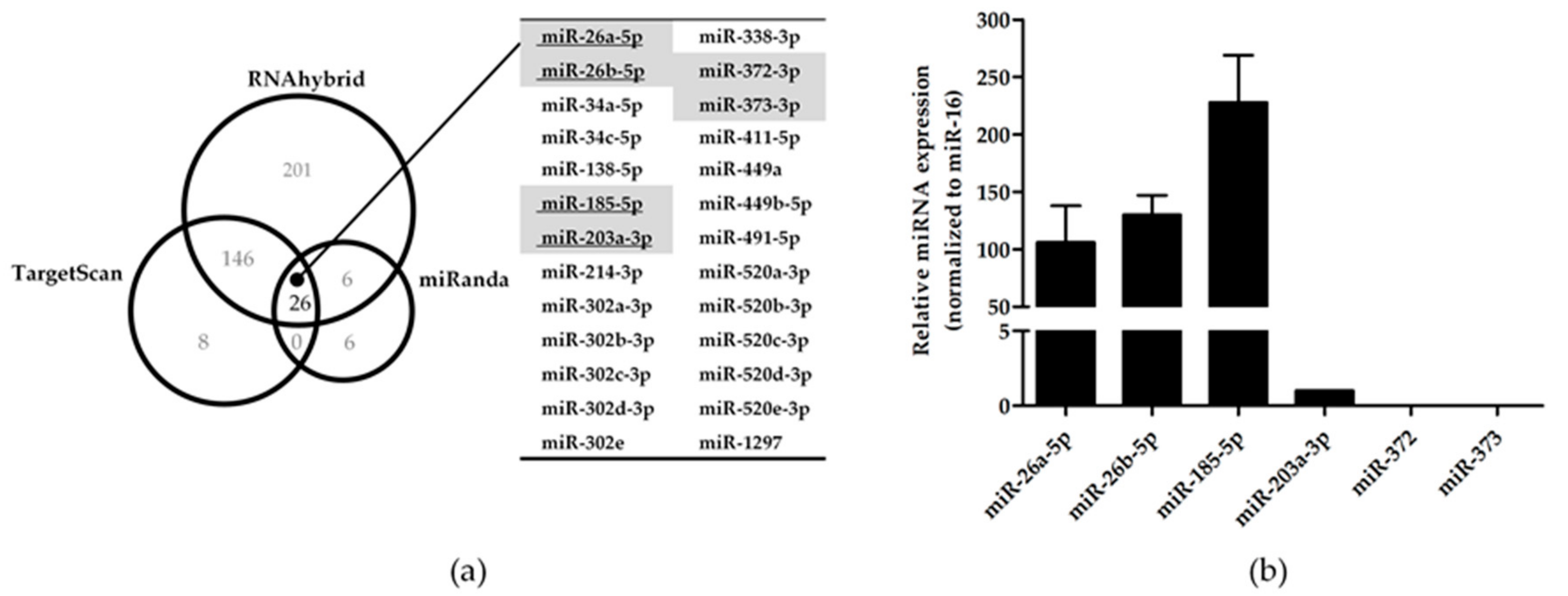 Genes 10 00603 g001