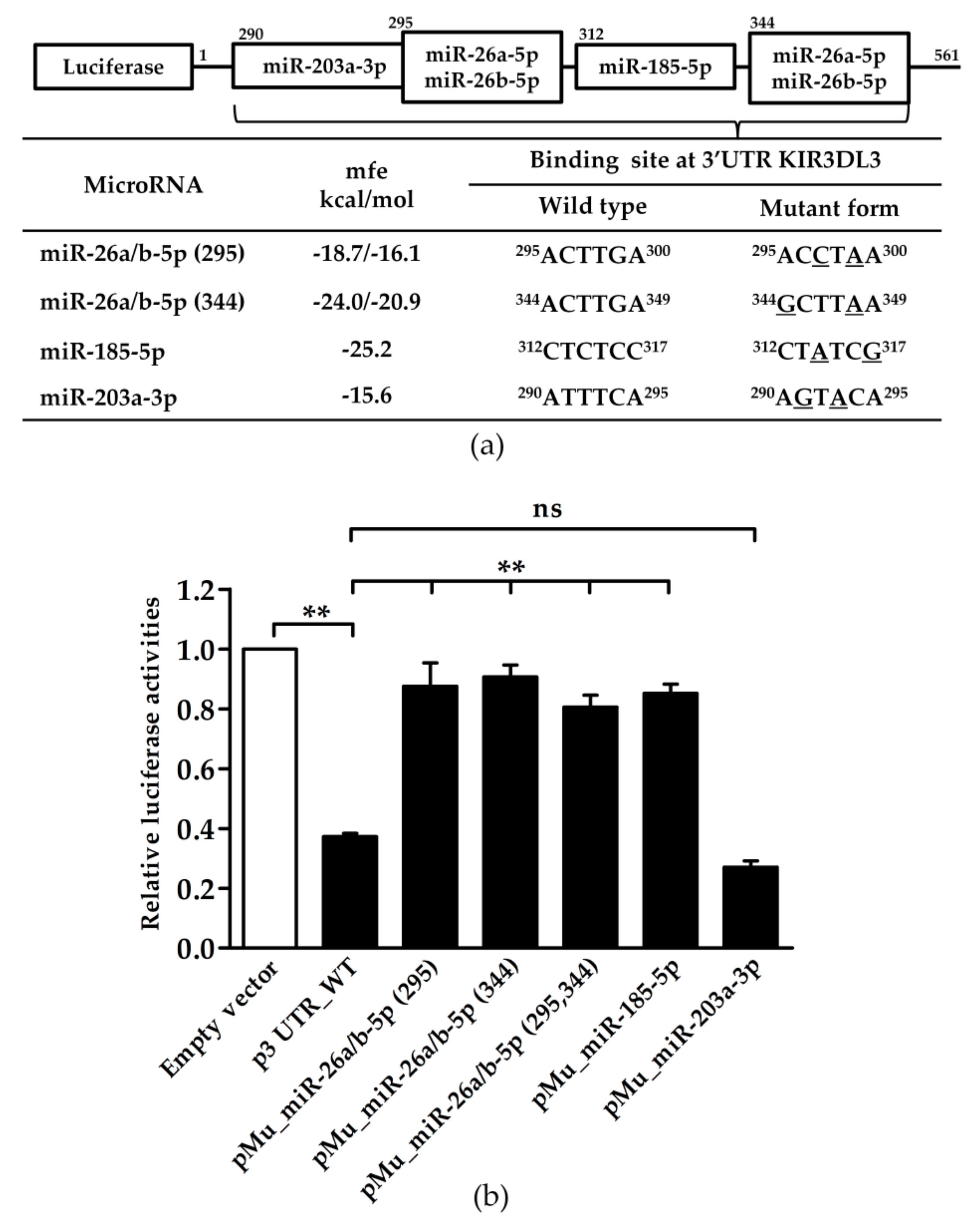 Genes 10 00603 g002