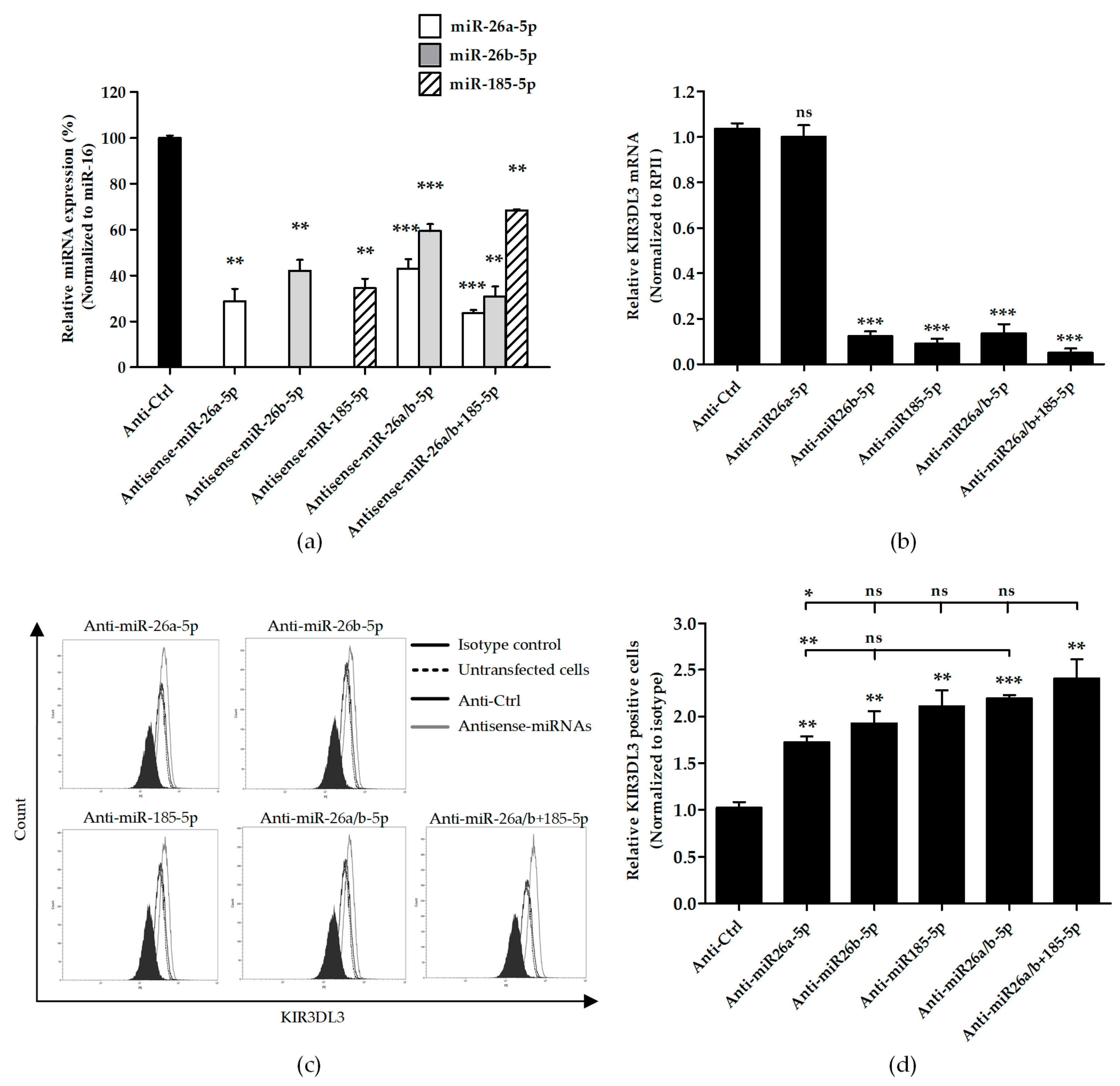 Genes 10 00603 g003