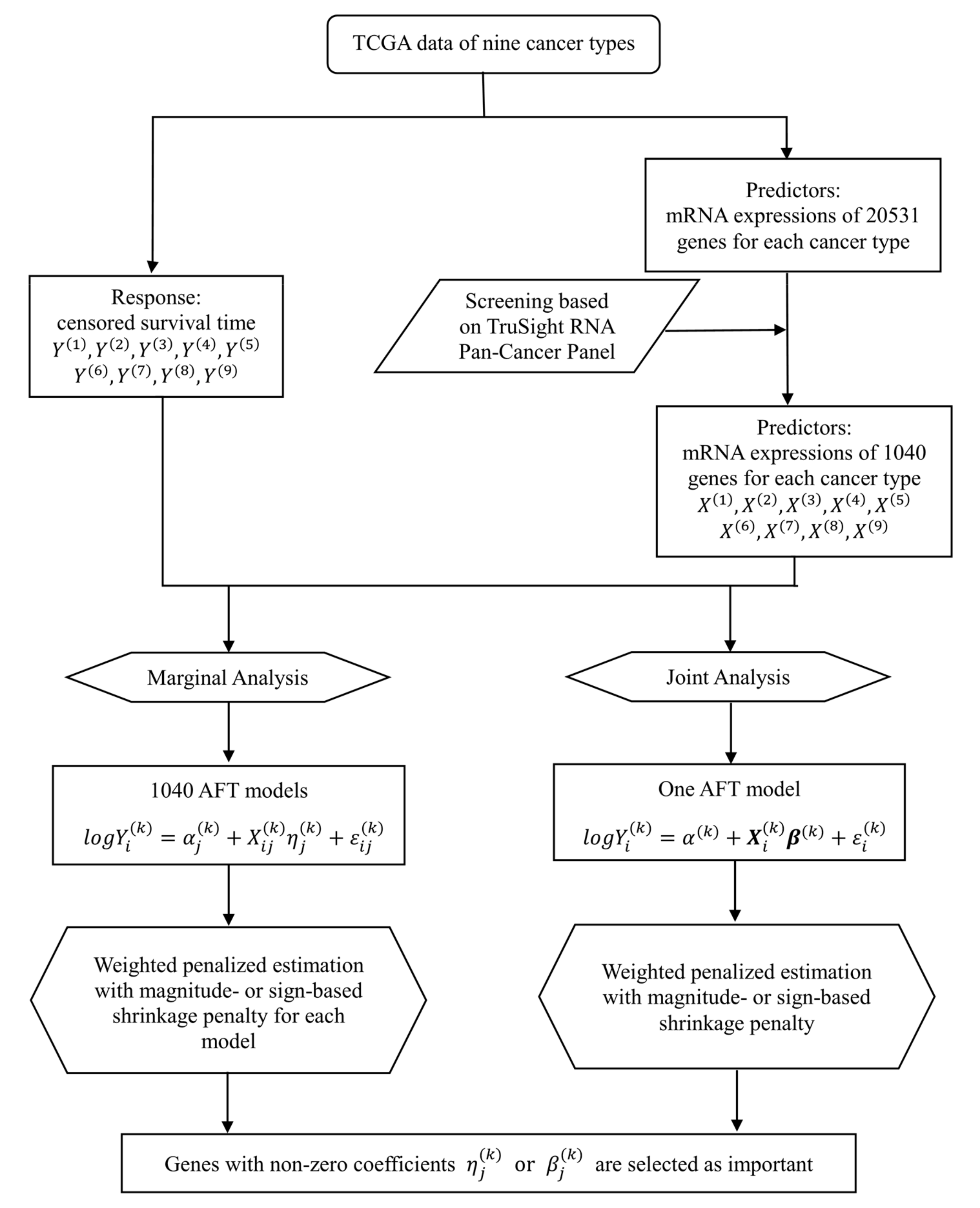 Genes 10 00604 g001
