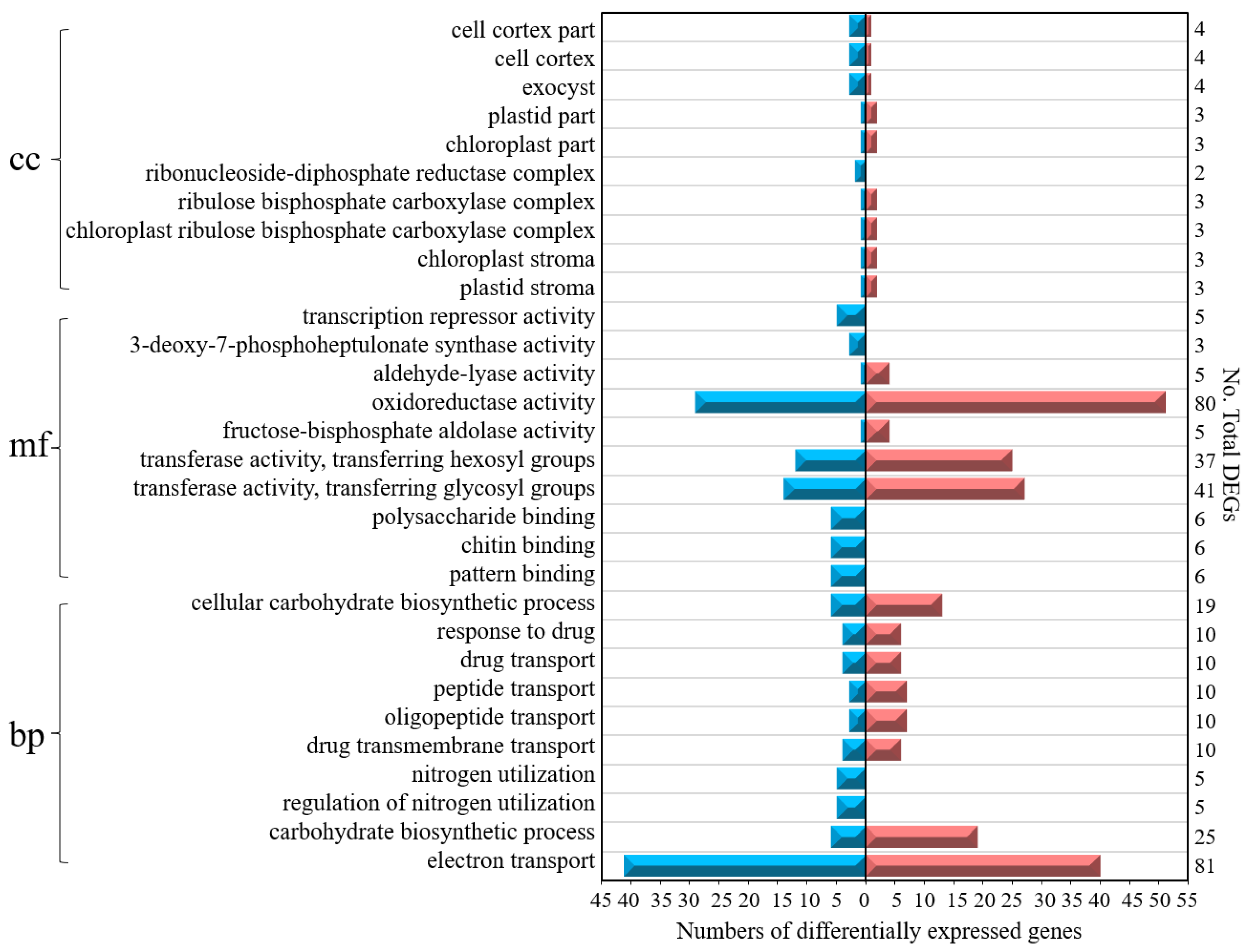 Genes 10 00605 g005