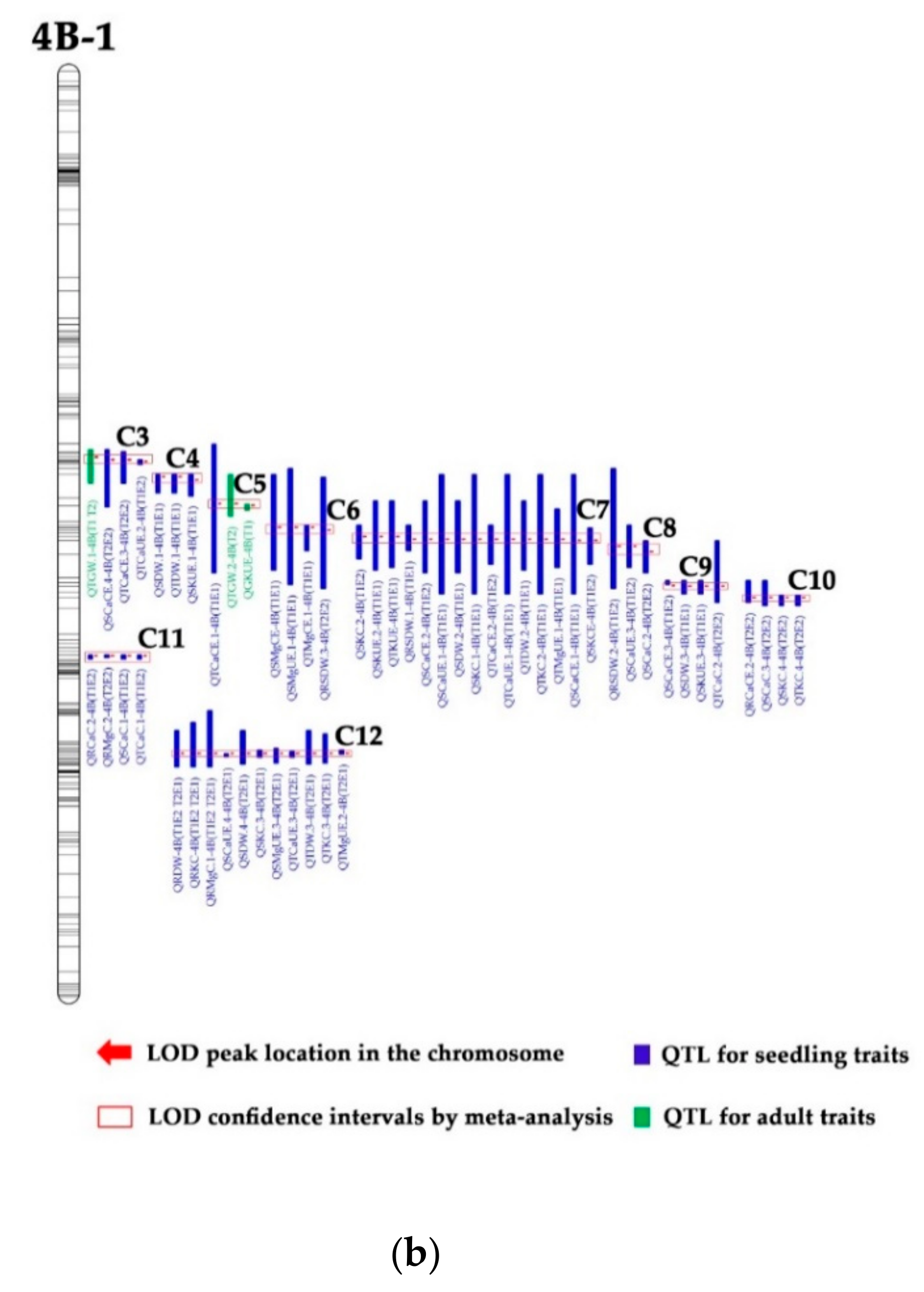 Genes 10 00607 g001b Genes 10 00607 g001b