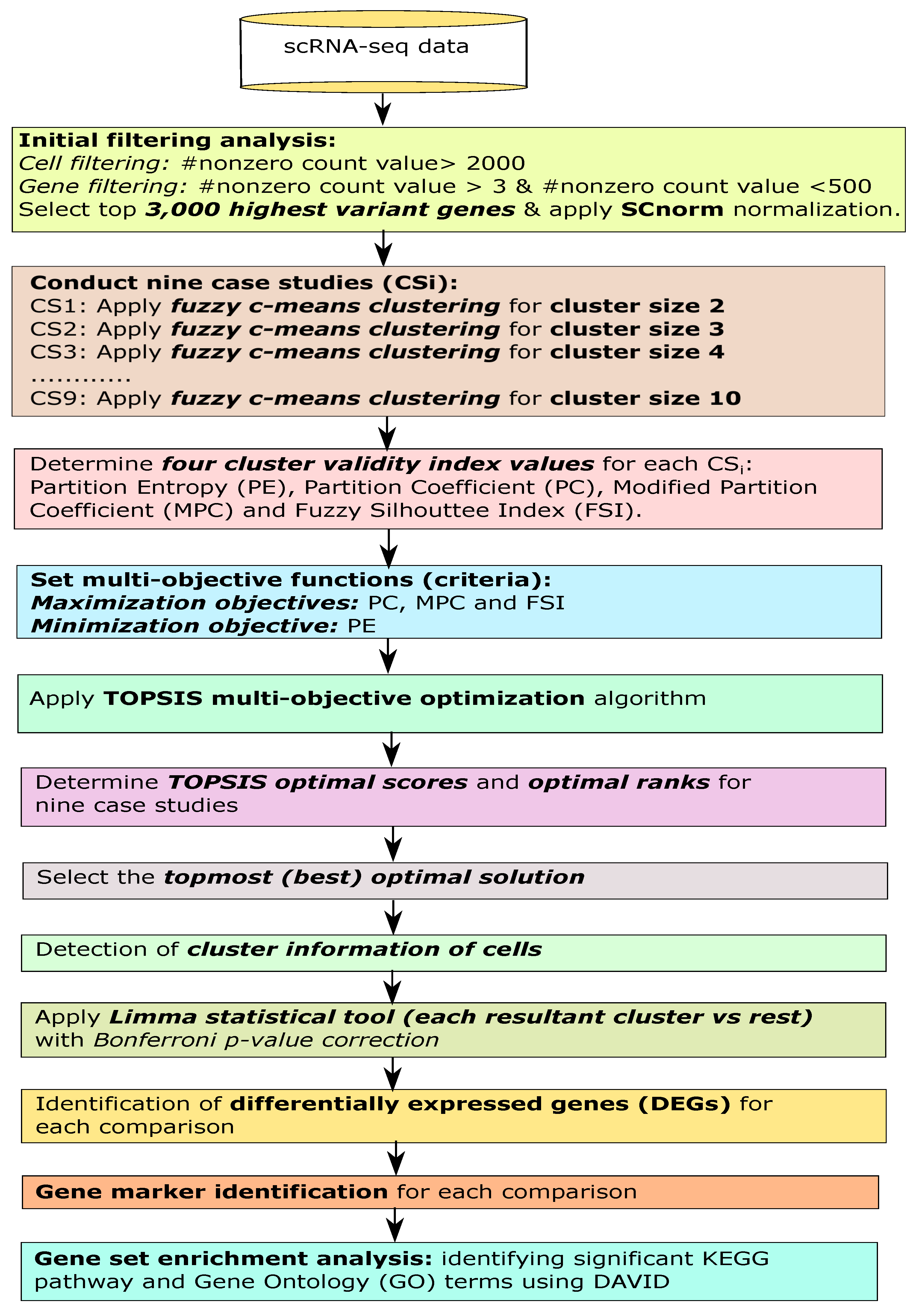 Genes 10 00611 g001