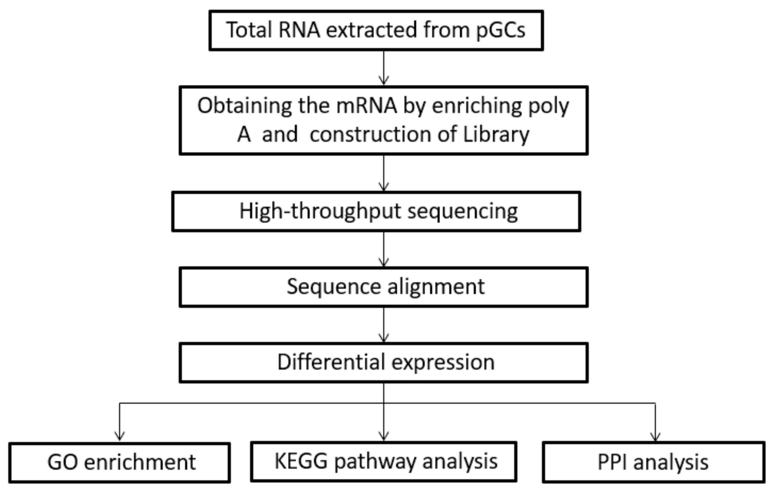 Genes 10 00615 g001