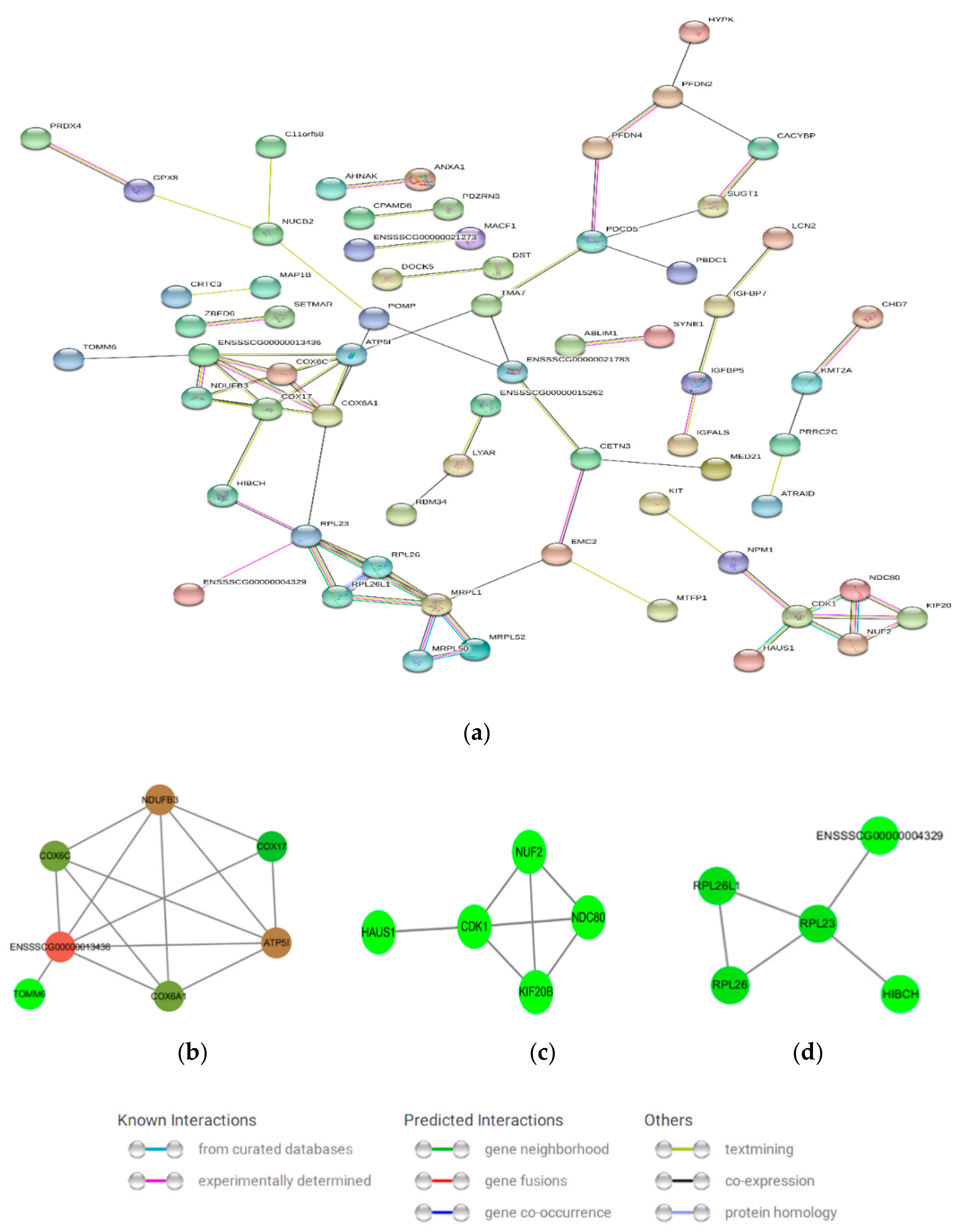 Genes 10 00615 g006